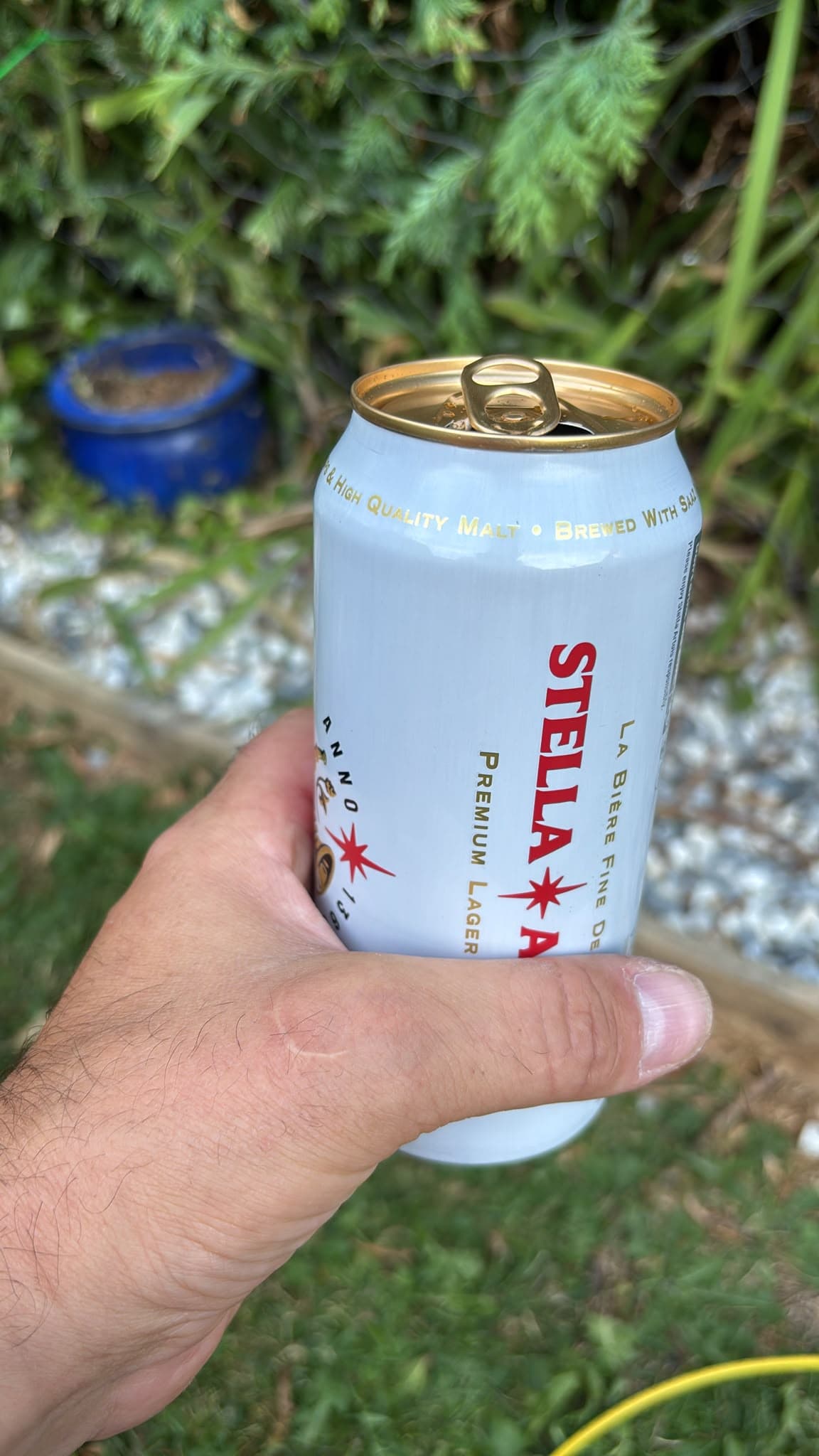 Beer #32546