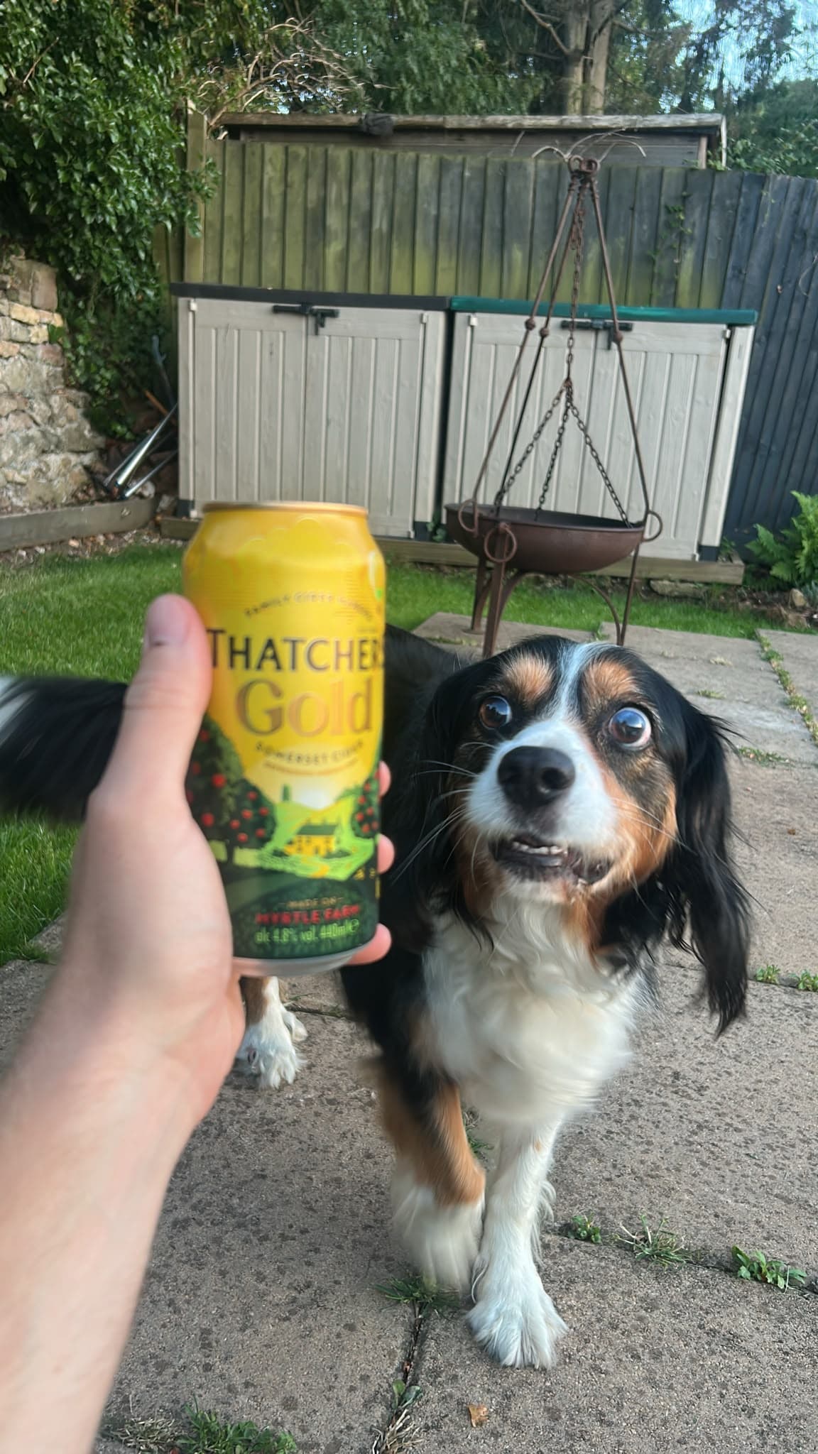Beer #32668