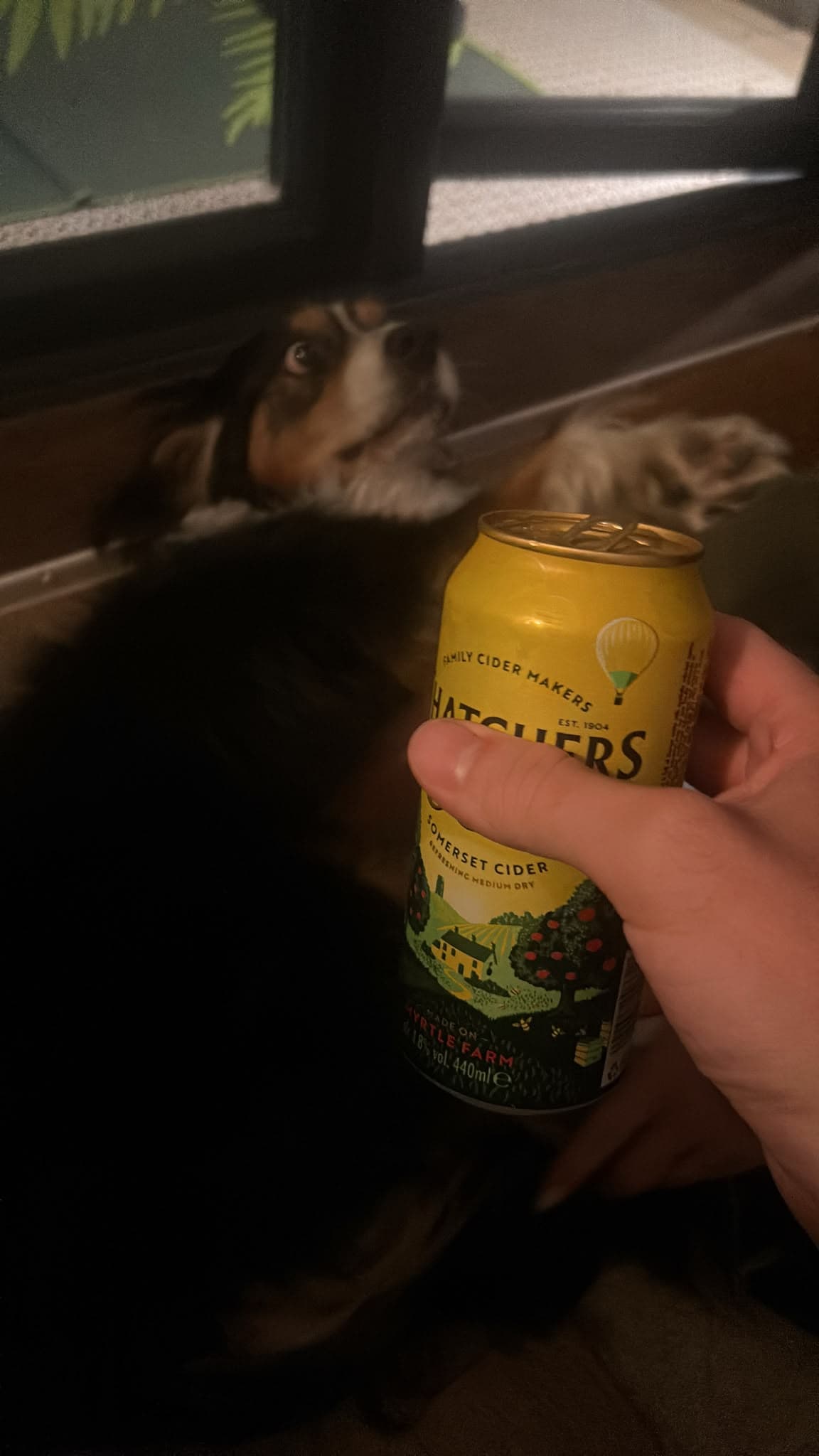Beer #32746