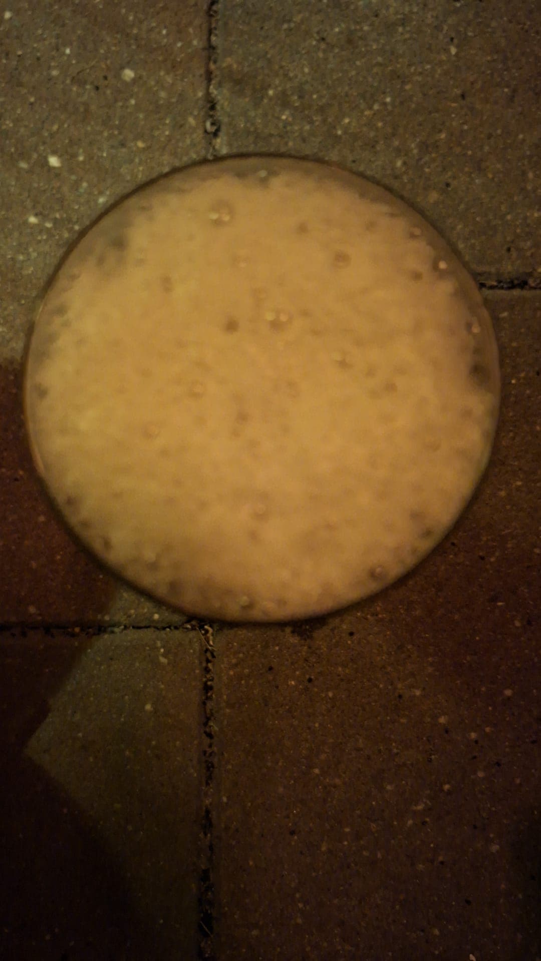 Beer #33487