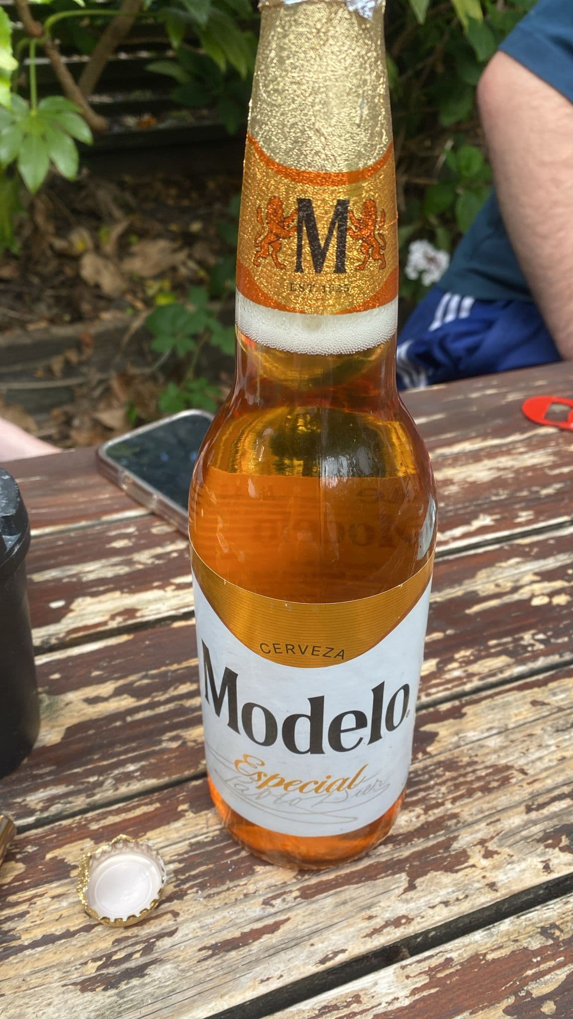 Beer #33667