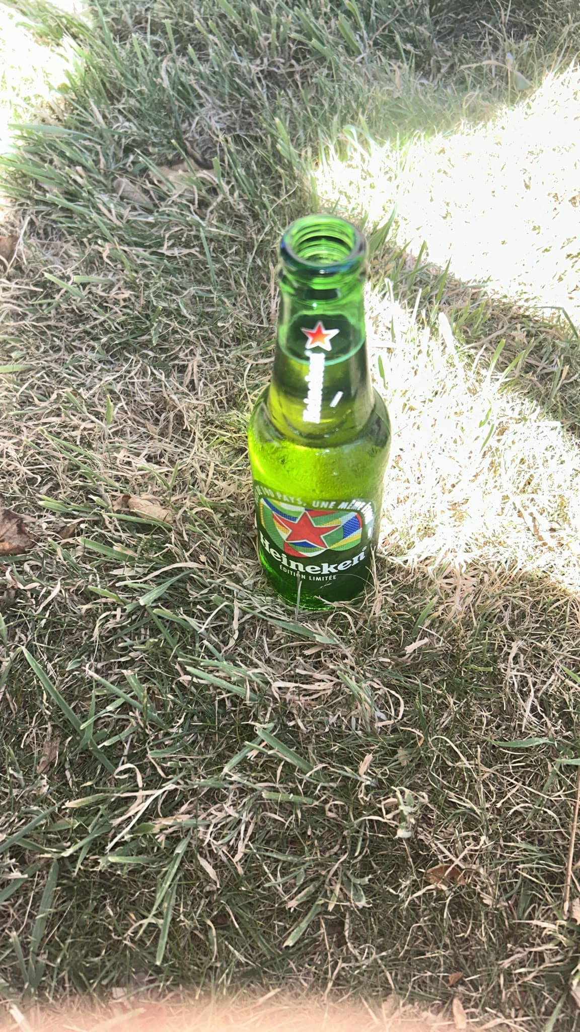 Beer #33910