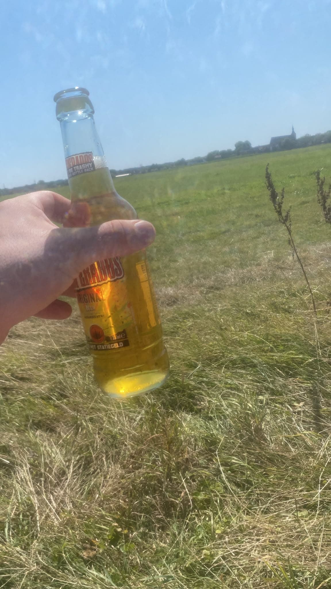 Beer #34527