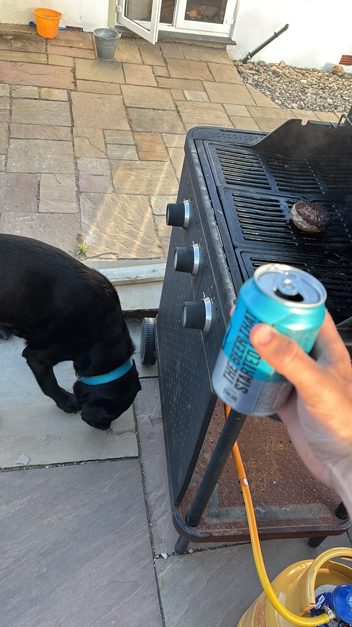 Beer #35148