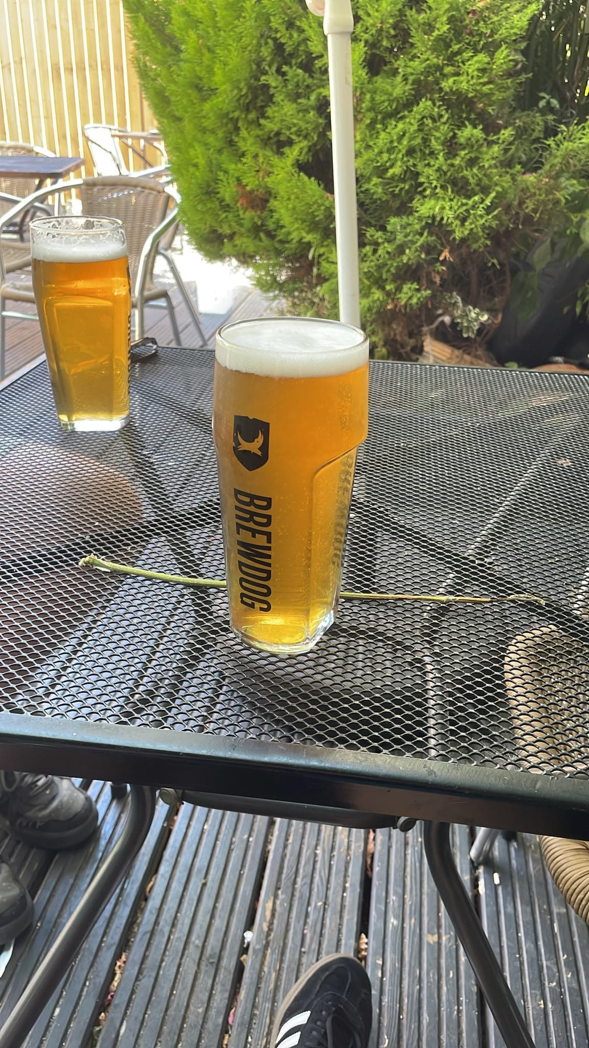 Beer #35536