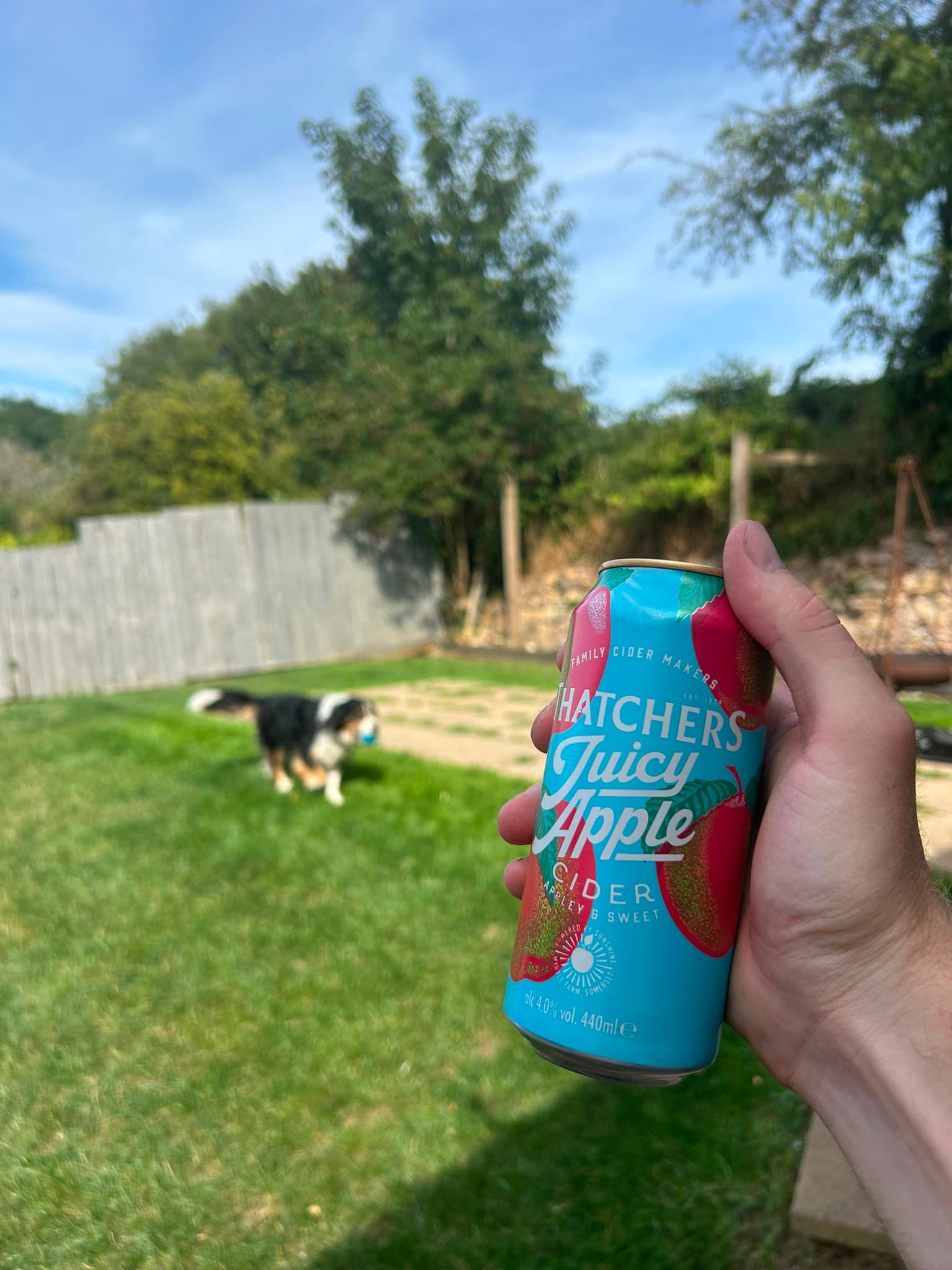 Beer #36689