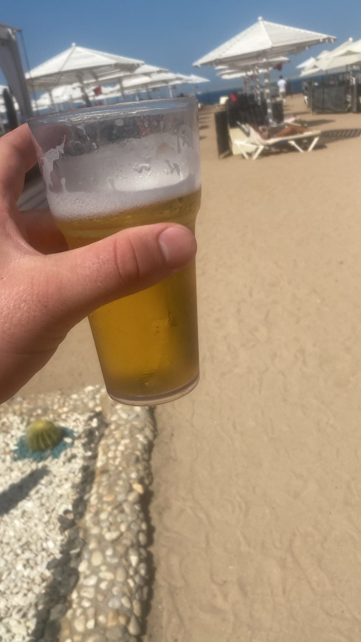 Beer #36980