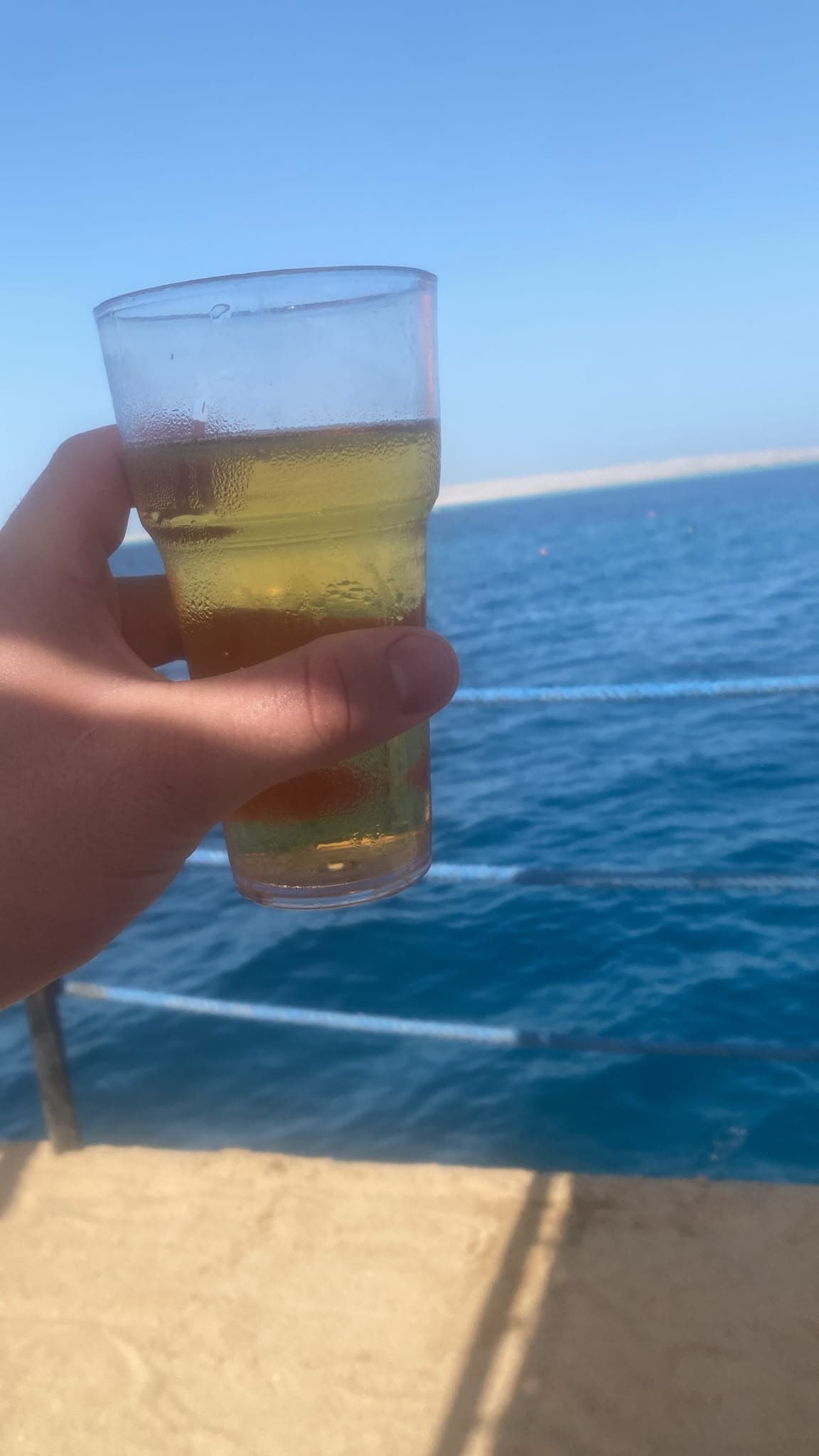 Beer #36981
