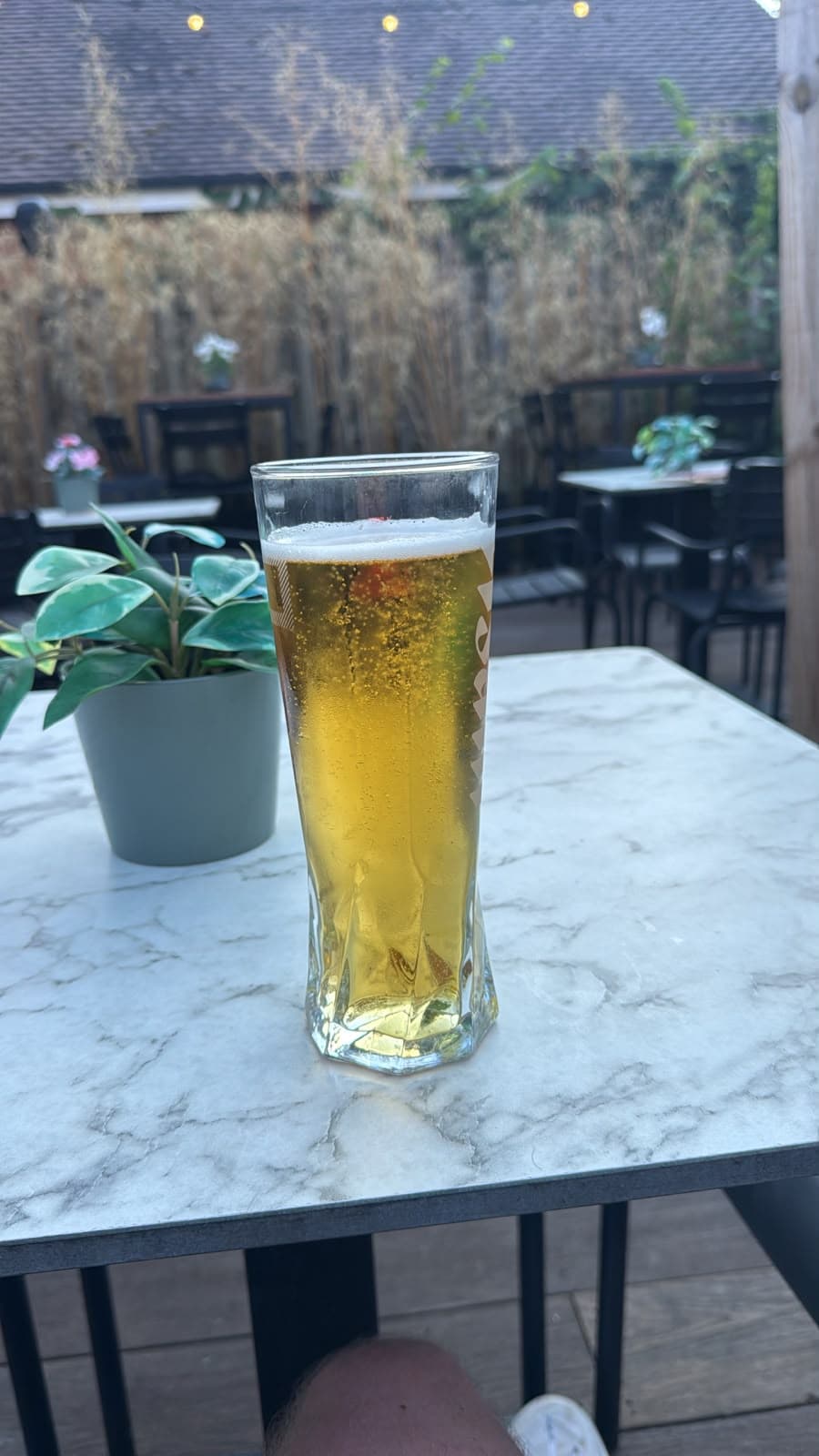 Beer #37078