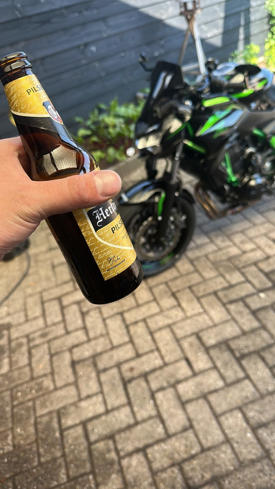 Beer #37256