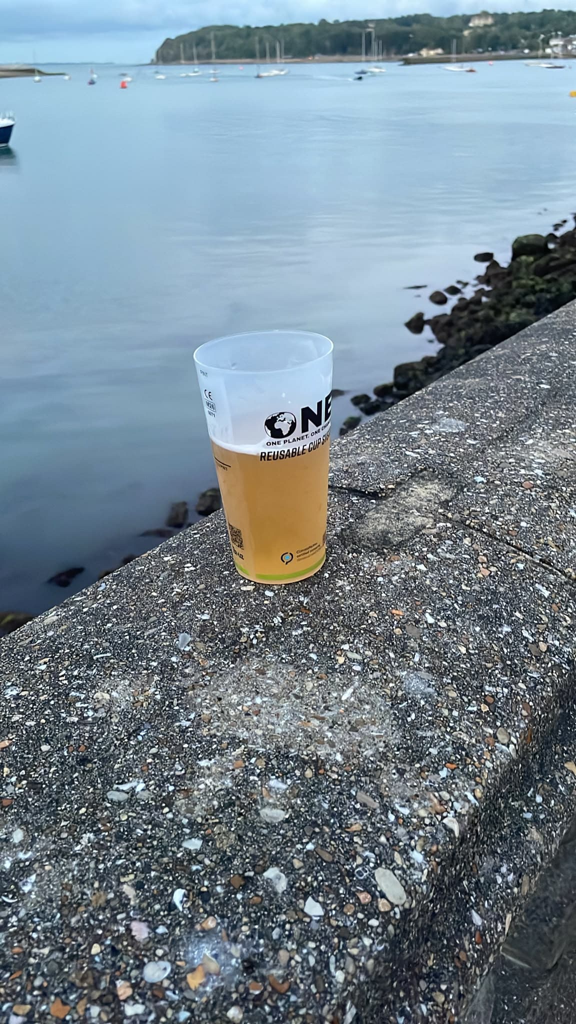 Beer #37449