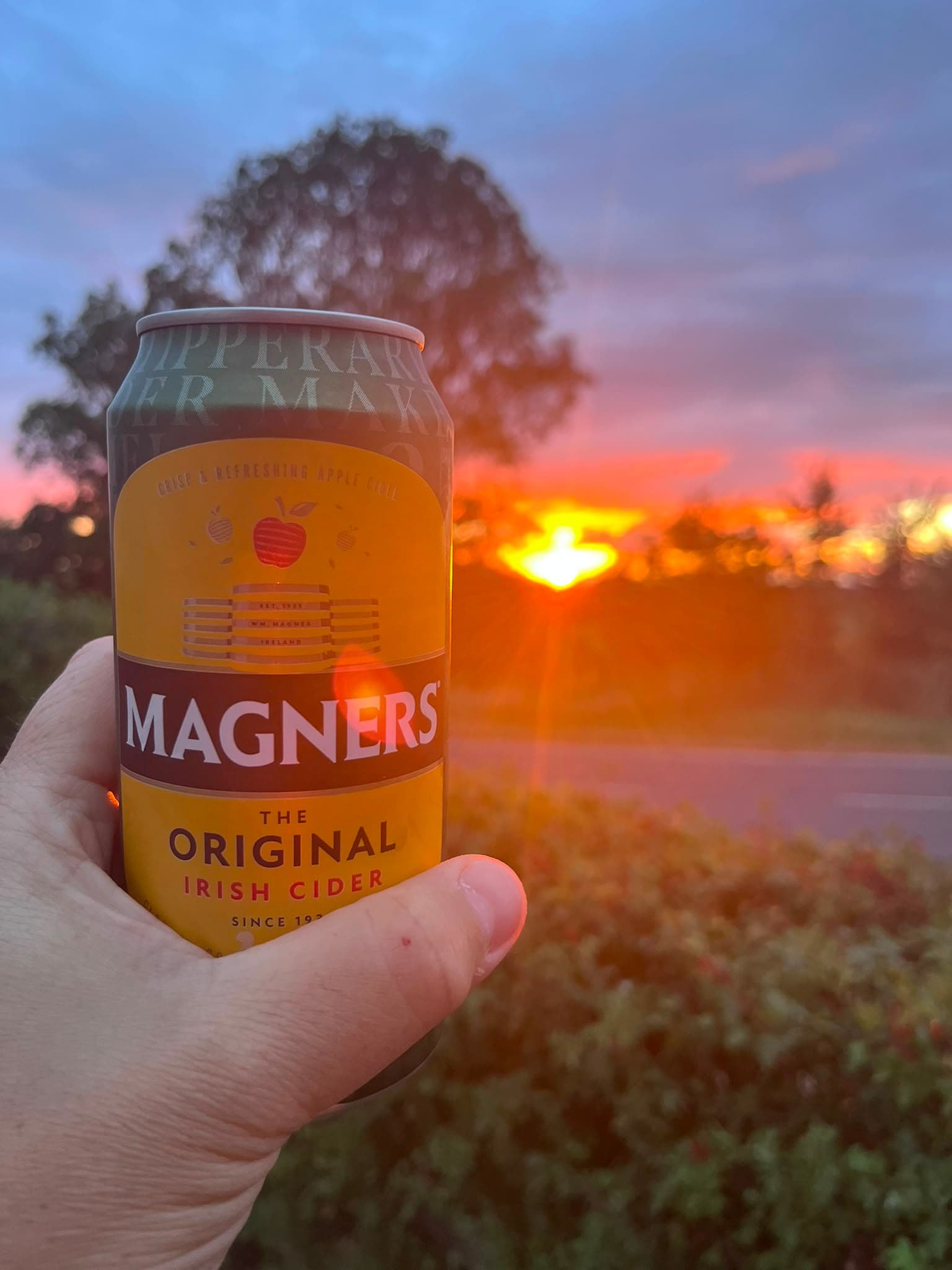 Beer #37470