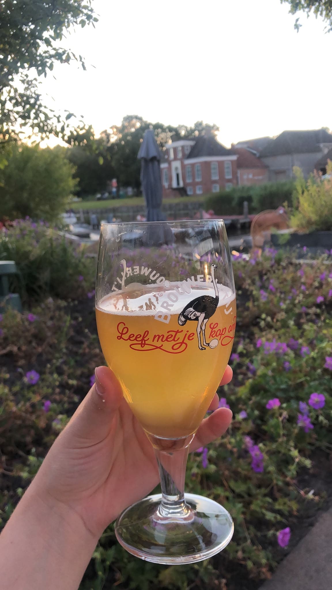 Beer #37739
