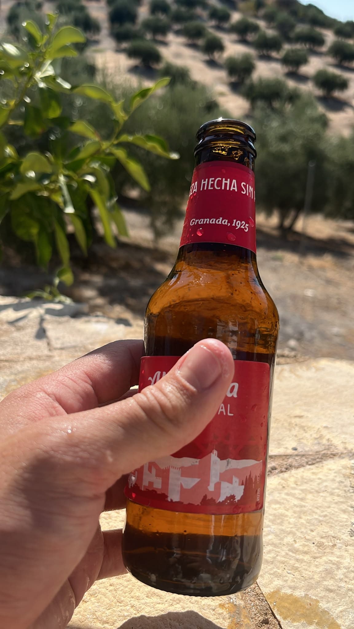 Beer #38311
