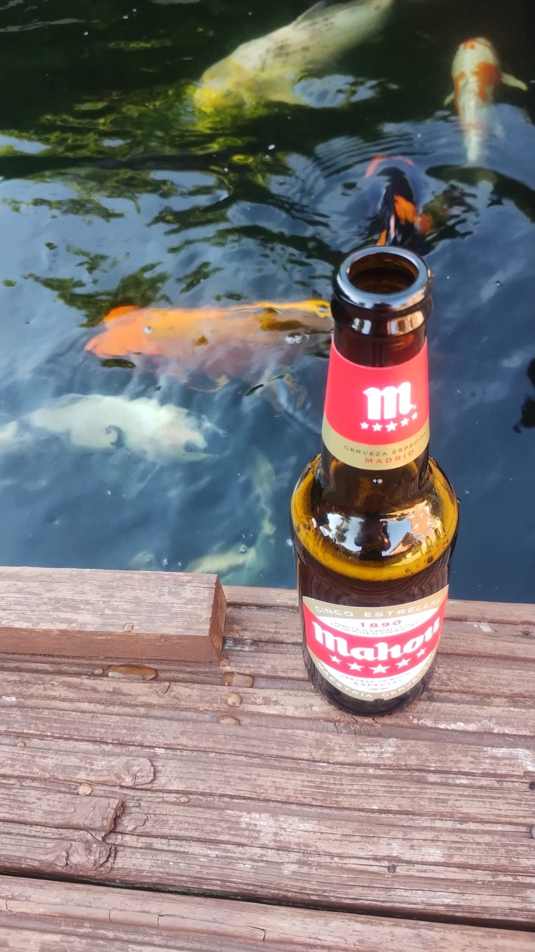 Beer #38377