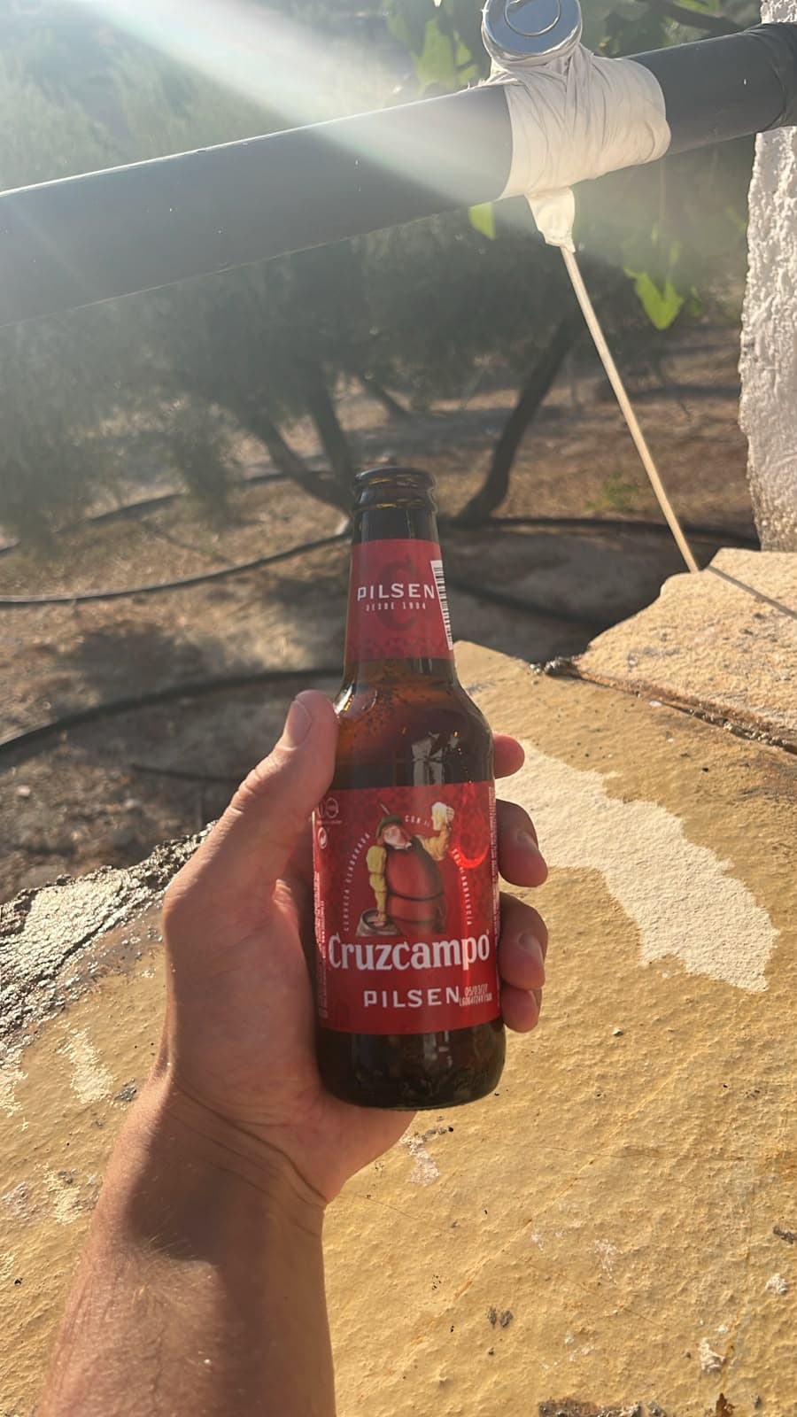 Beer #38392