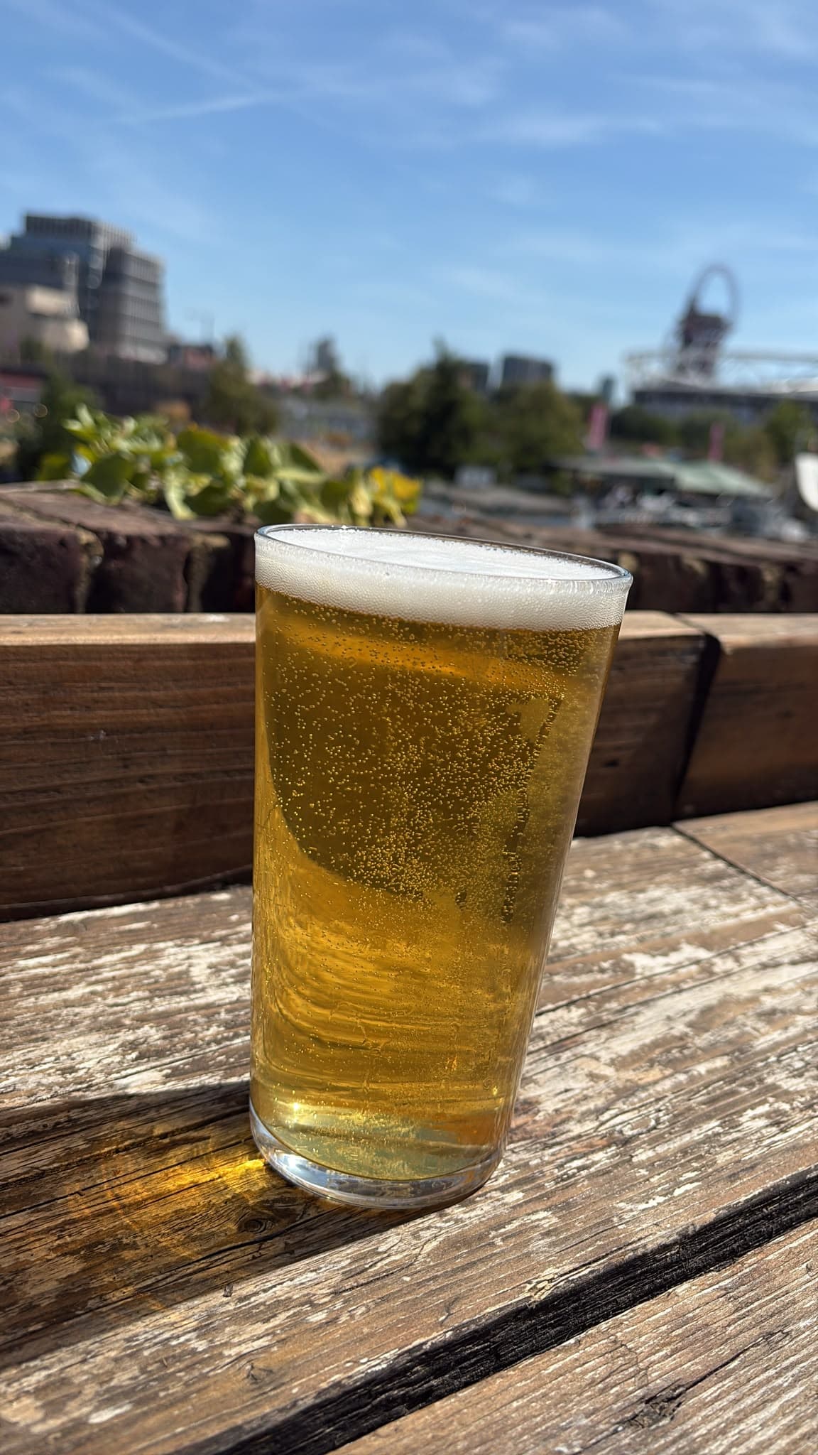 Beer #38675