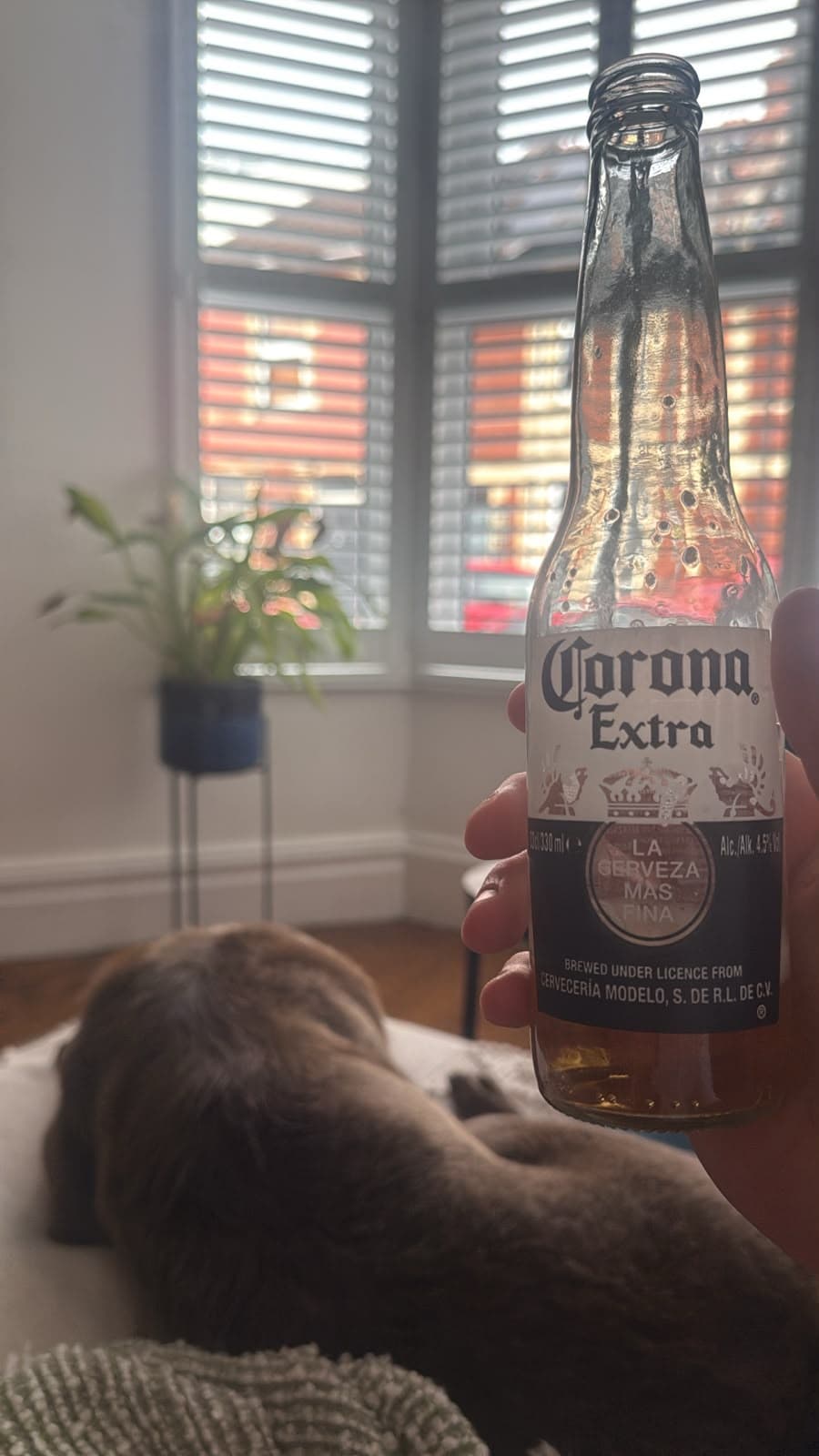 Beer #38765