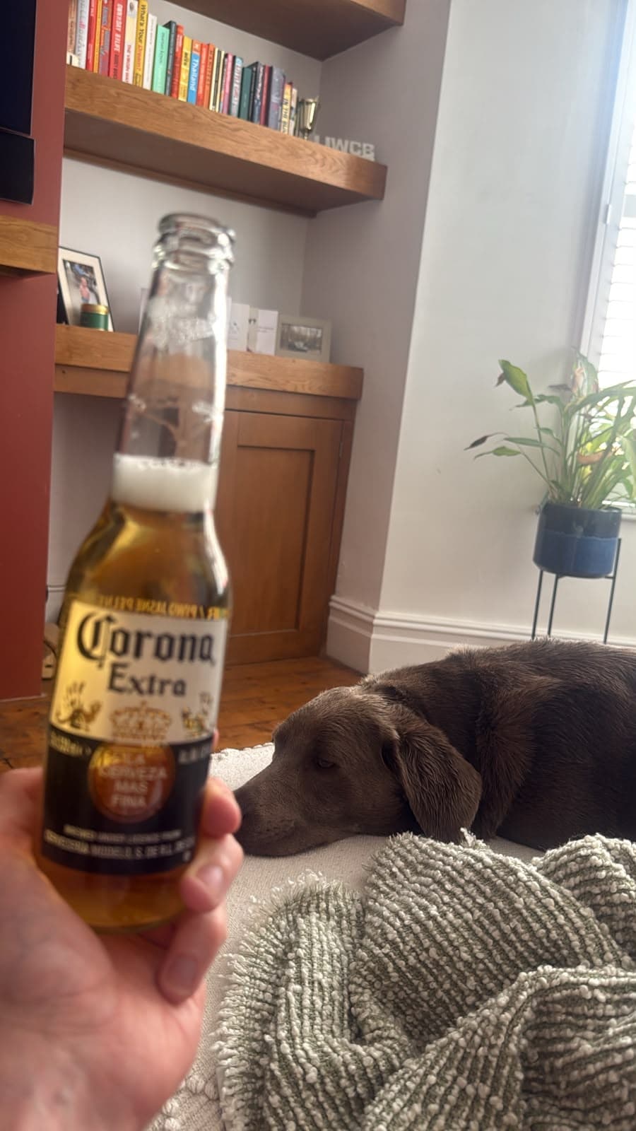 Beer #38778