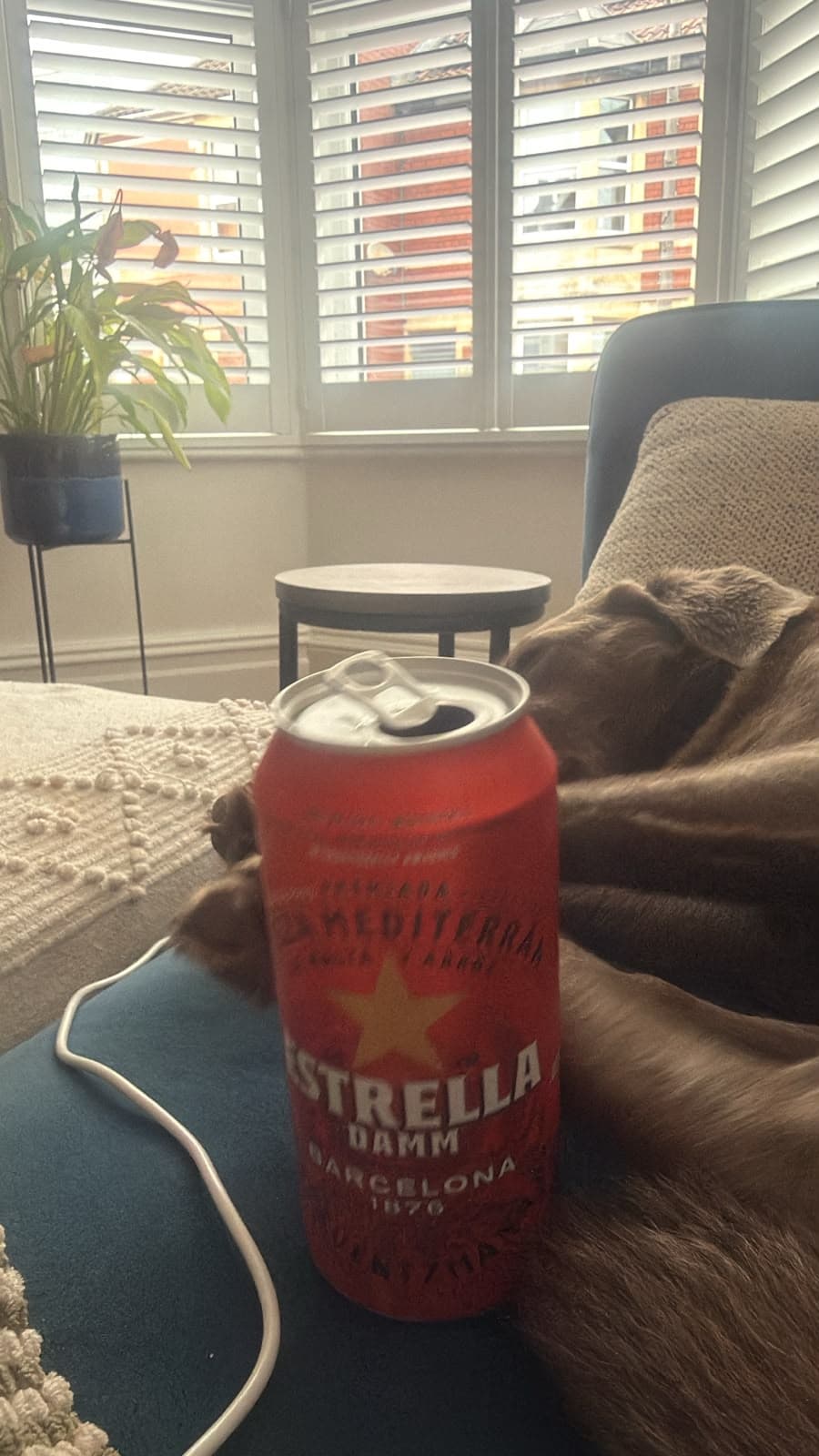Beer #38820
