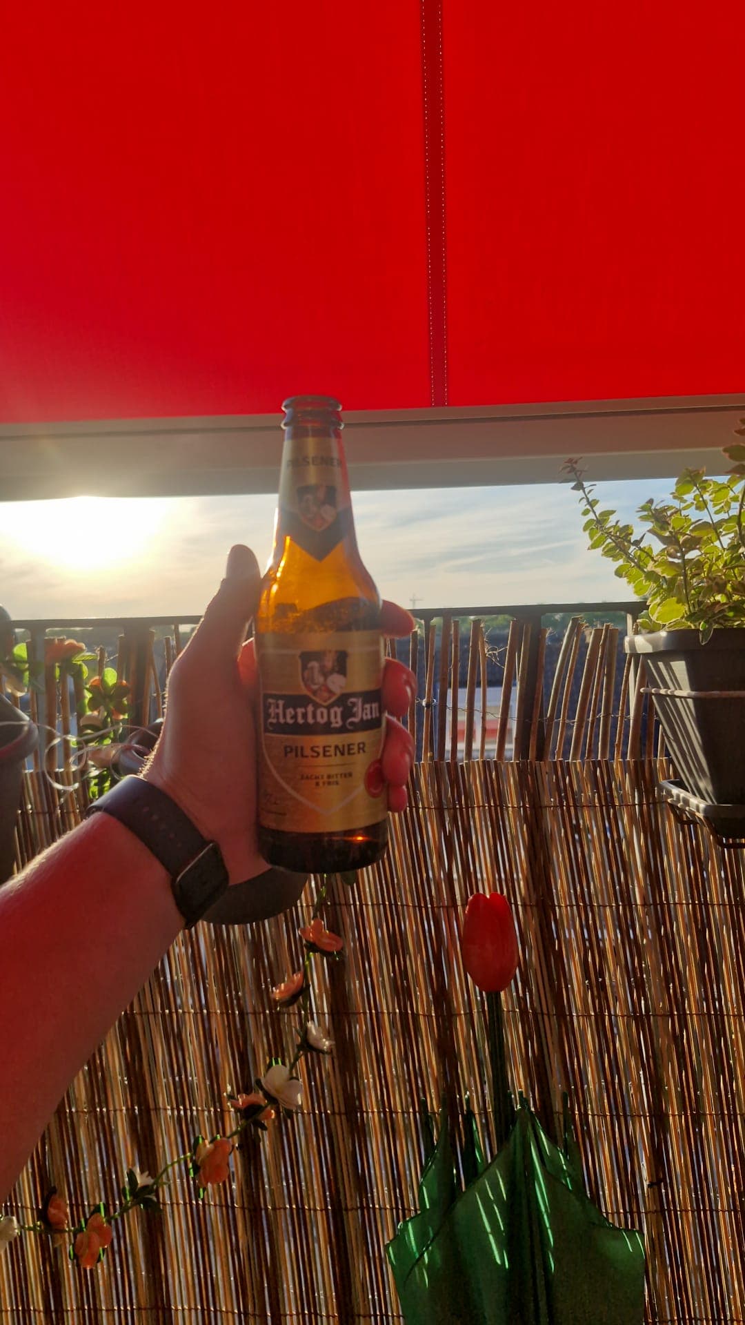 Beer #38923