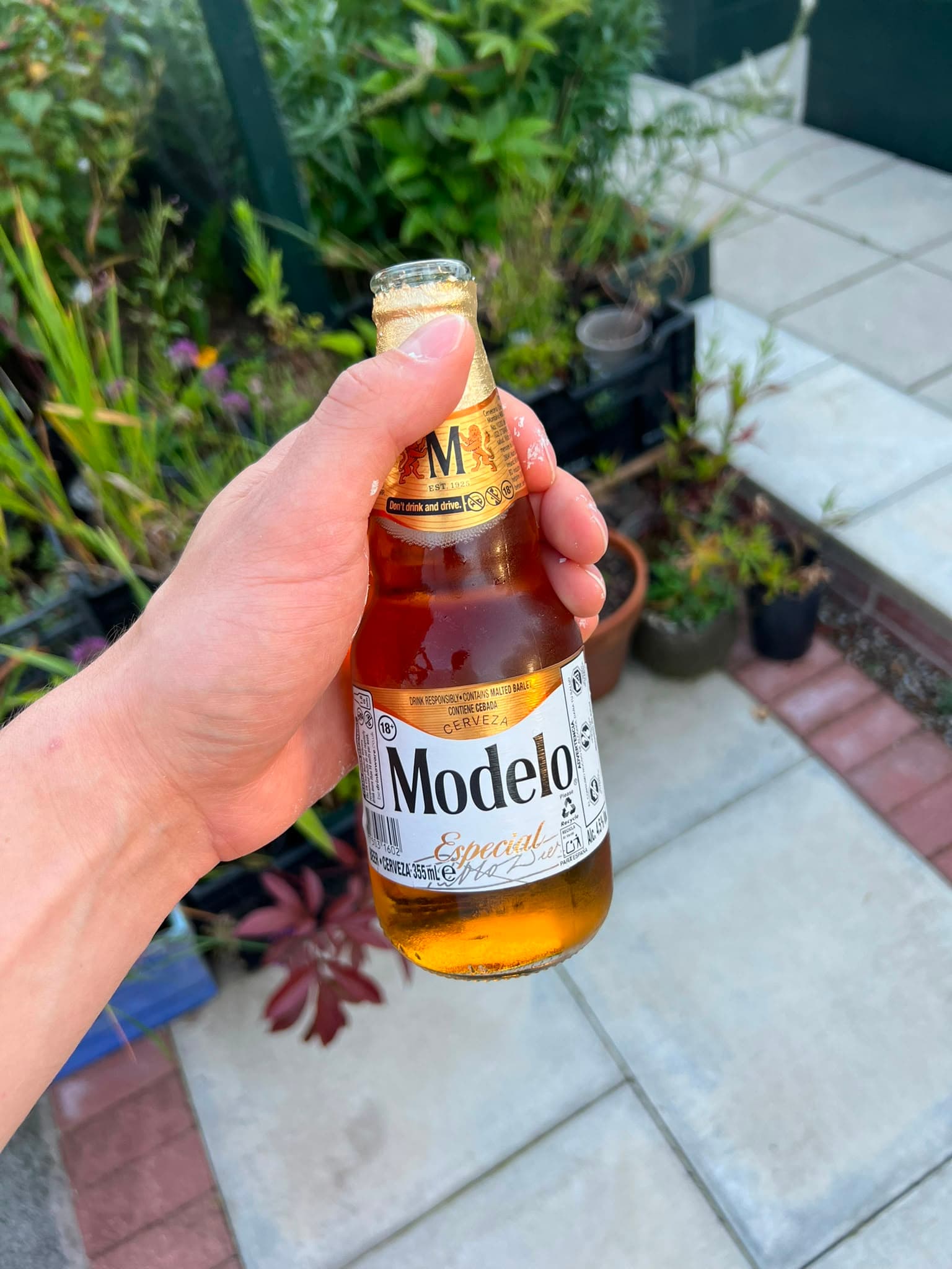 Beer #38982