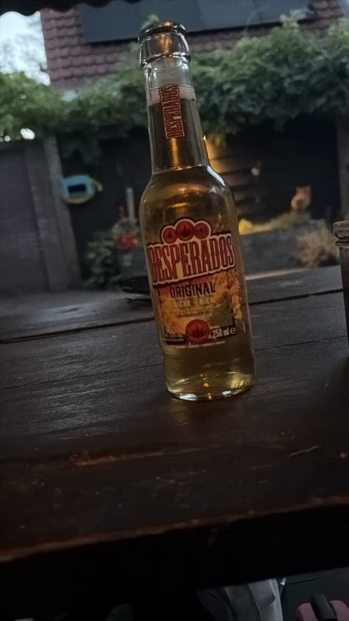 Beer #38995