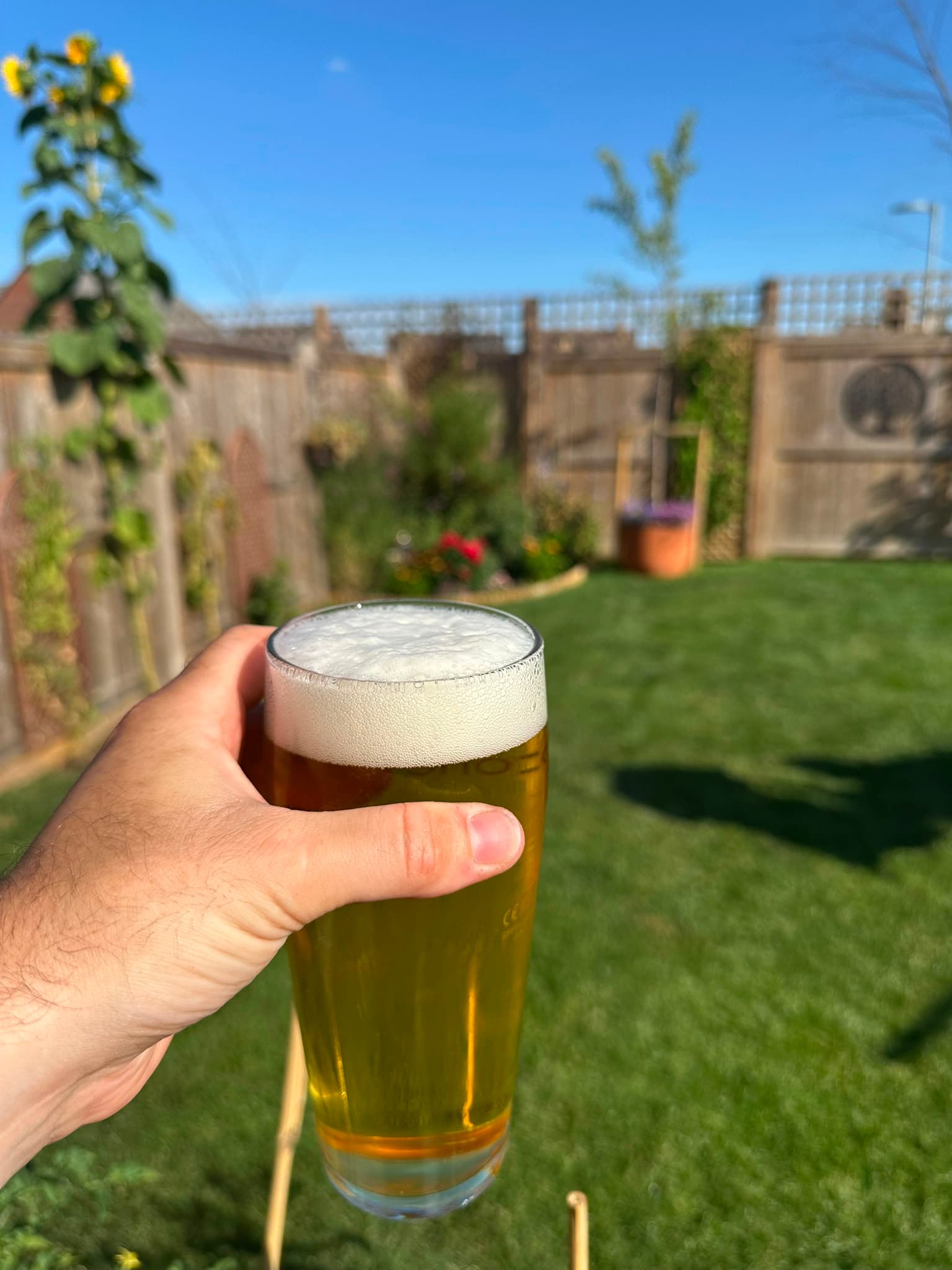 Beer #39447