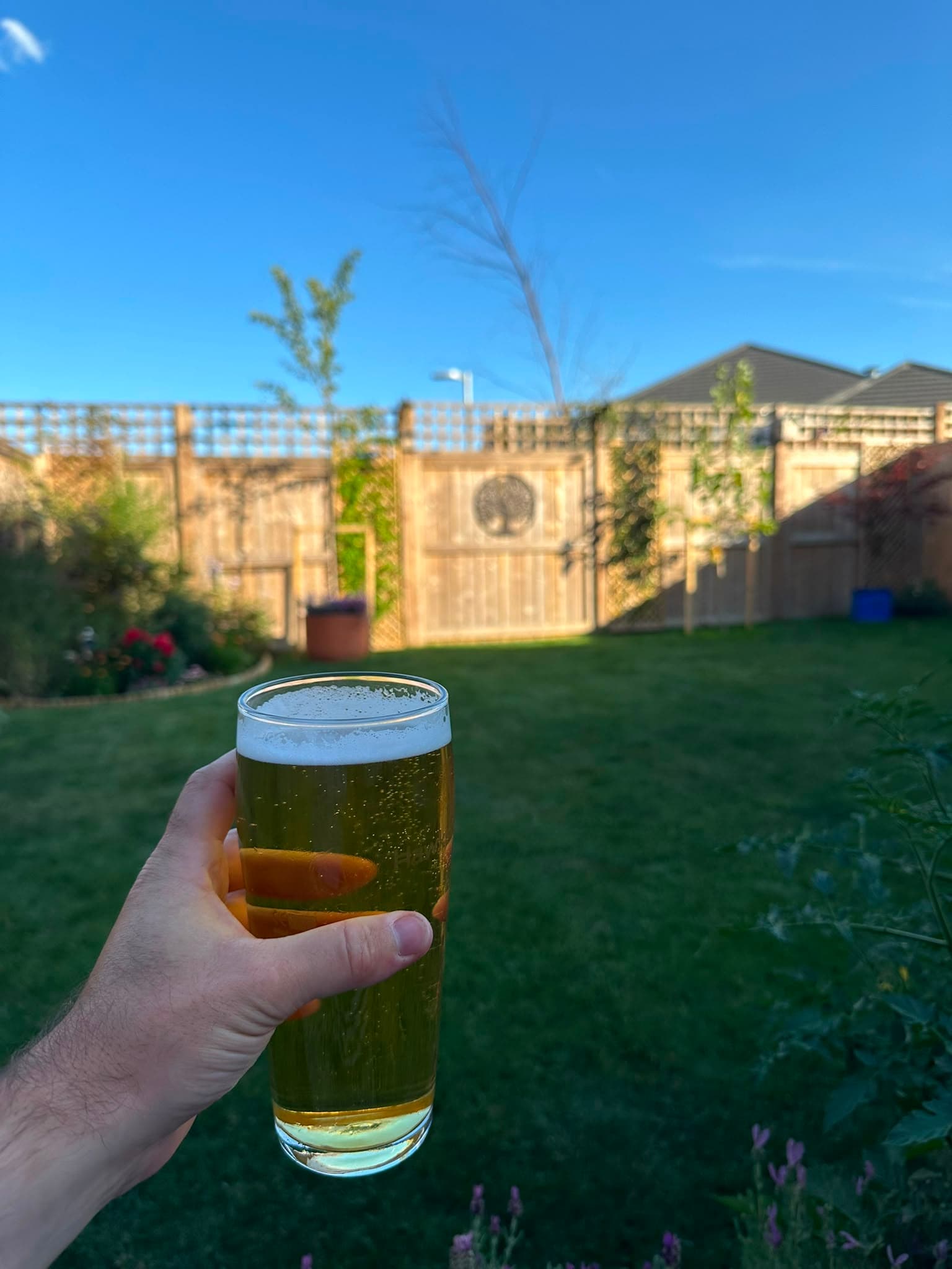 Beer #39516