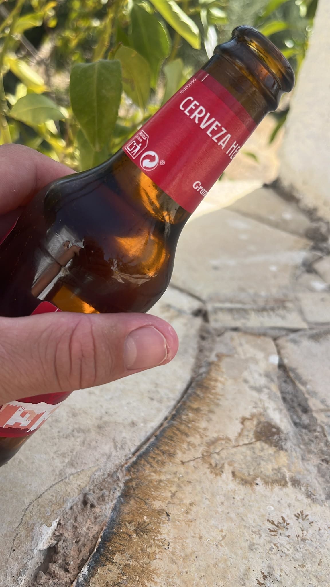 Beer #39666