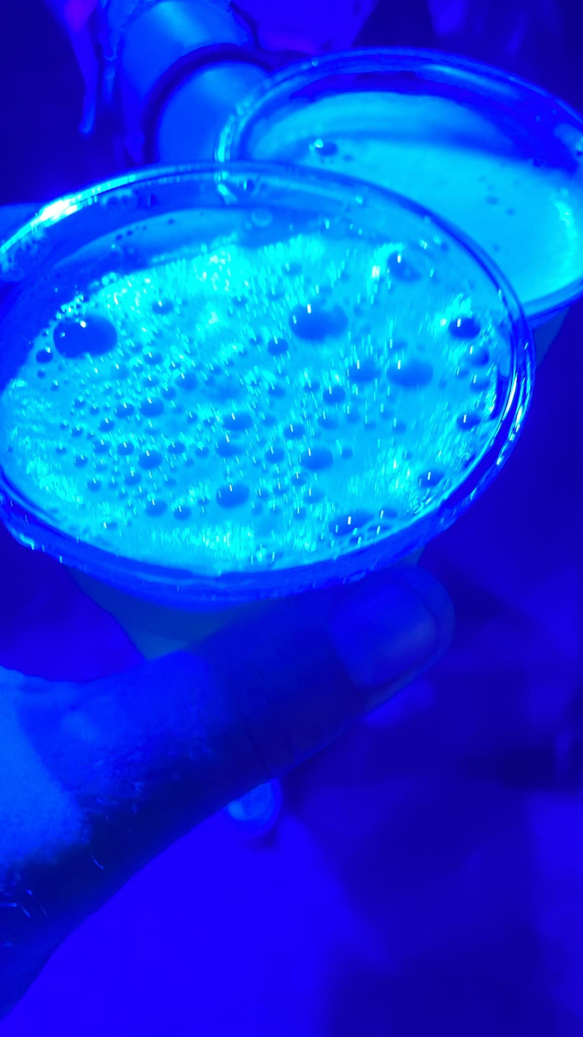Beer #39887