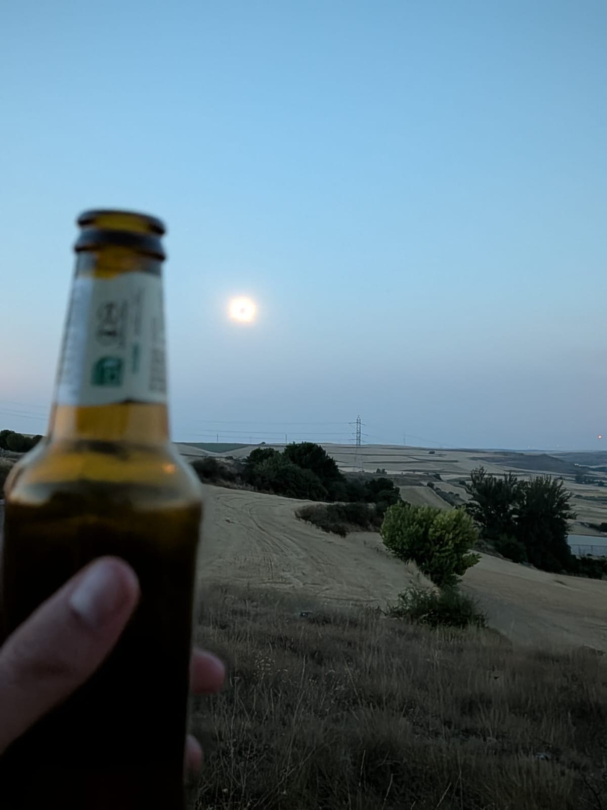 Beer #40354