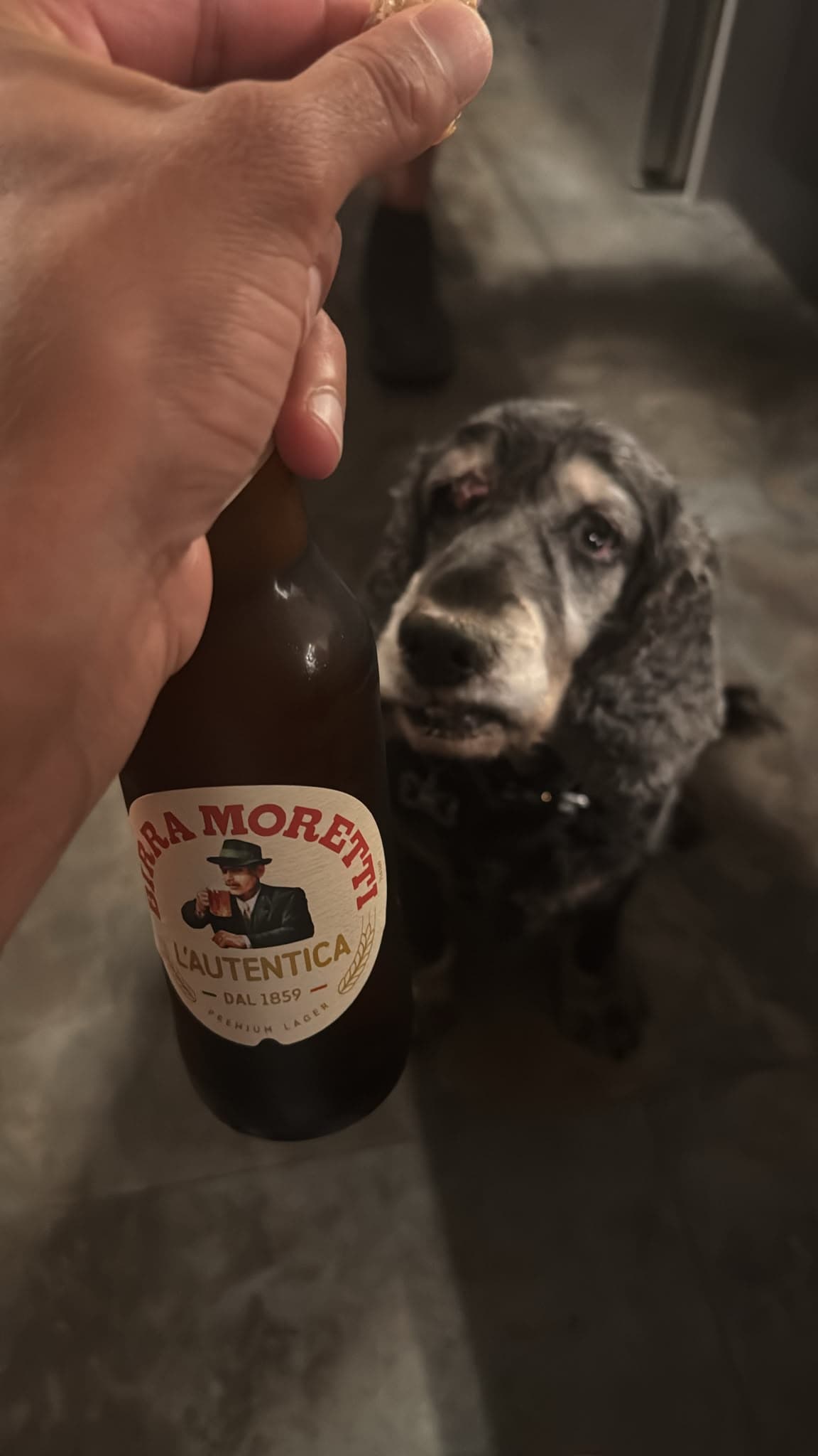 Beer #40472