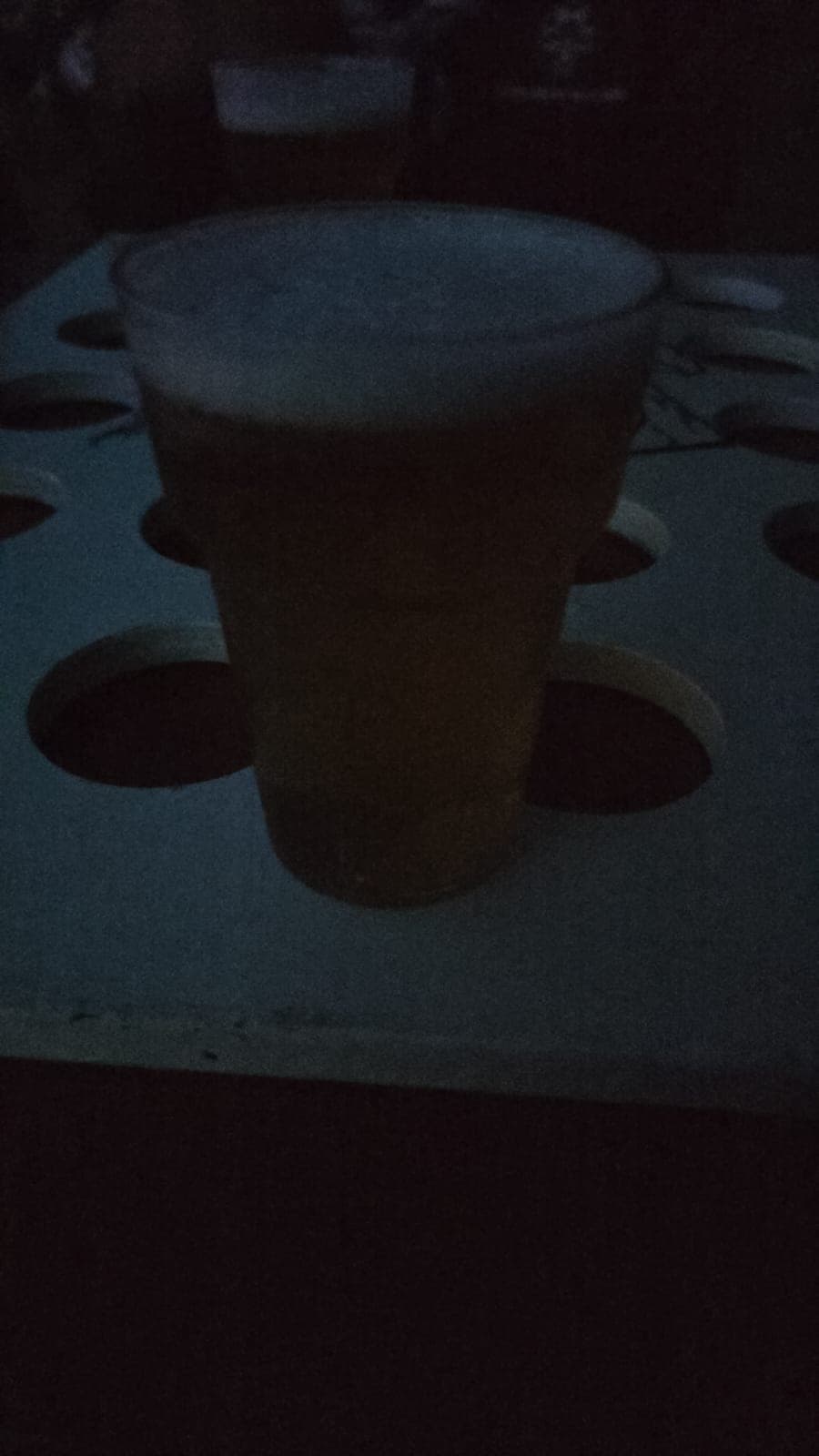 Beer #40749
