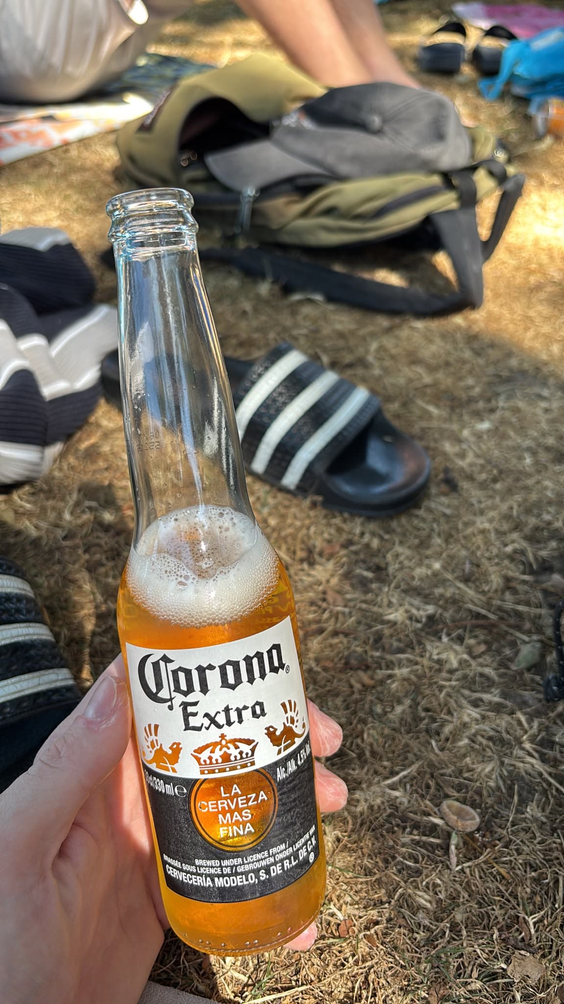 Beer #40906