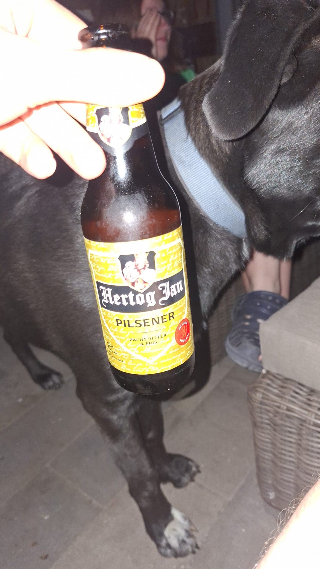 Beer #41247