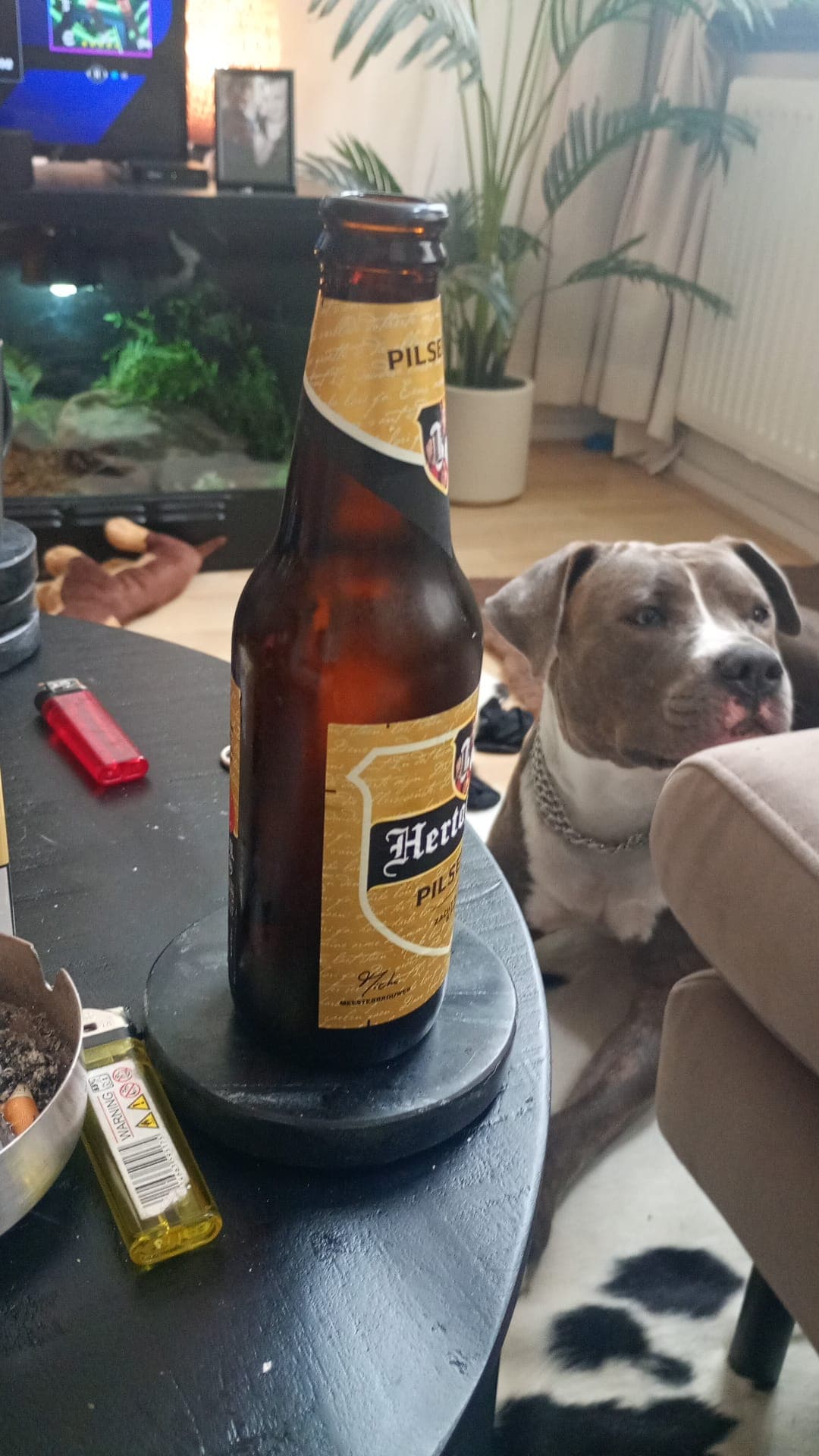 Beer #42393
