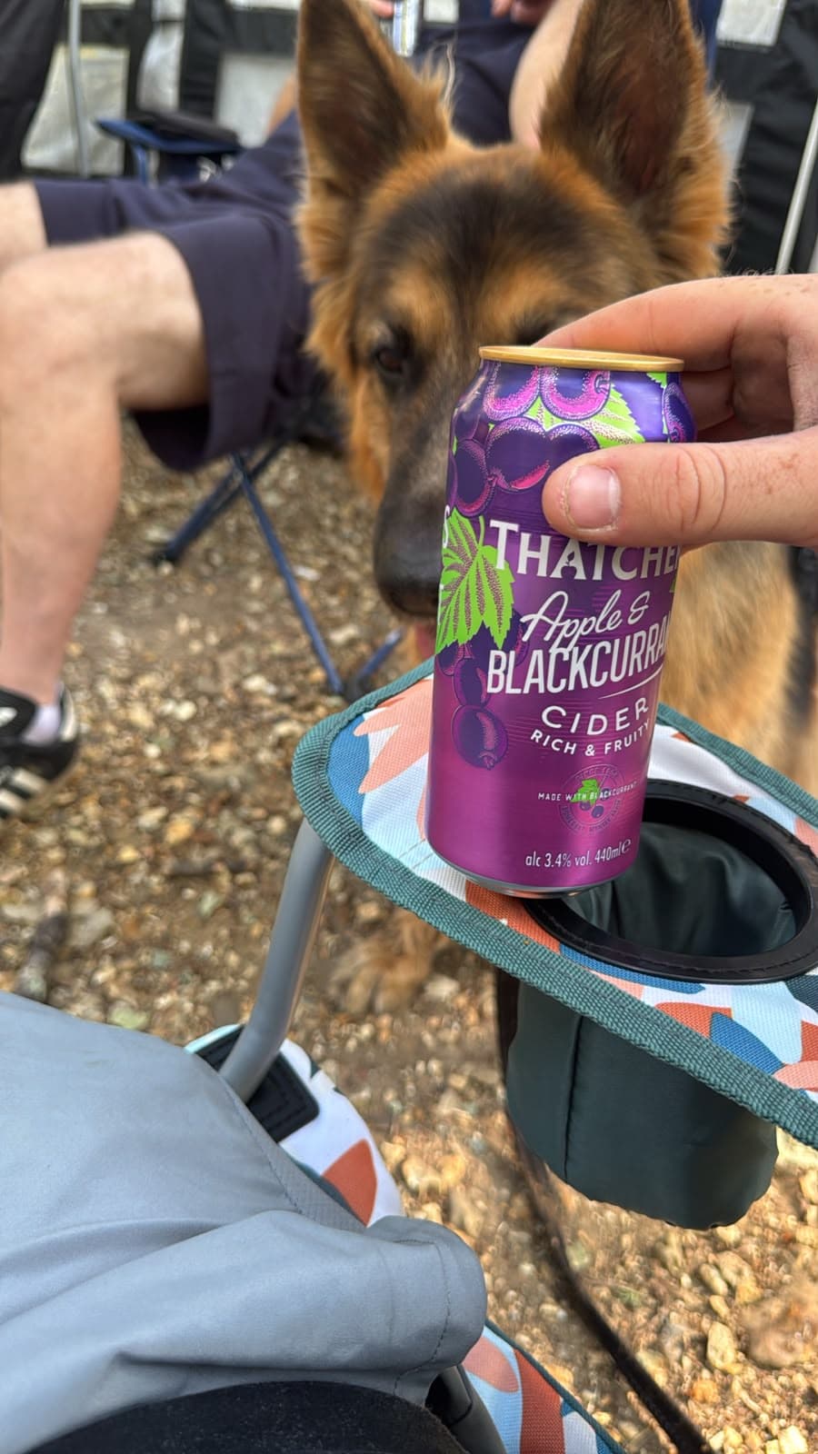 Beer #42635