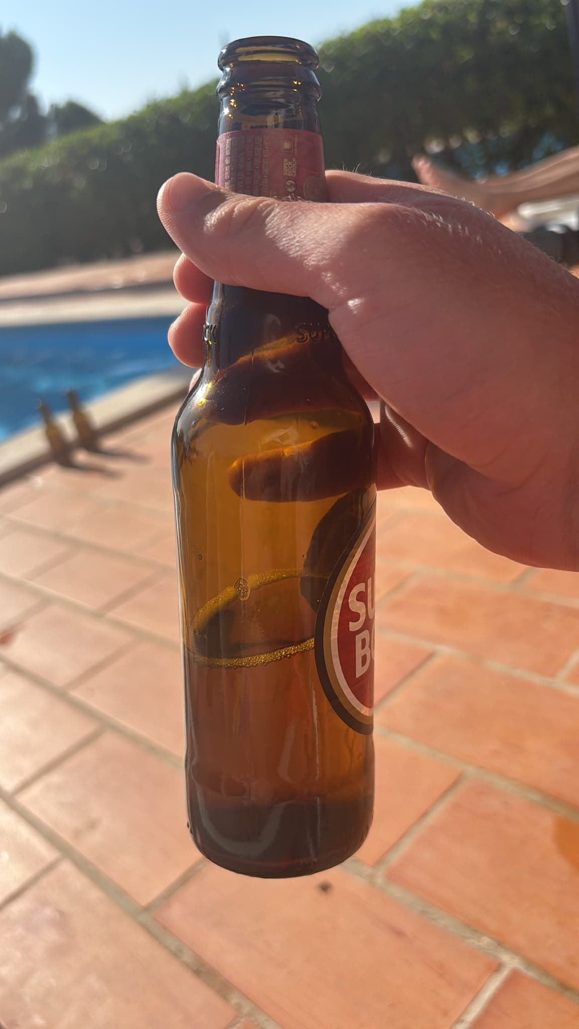 Beer #42812