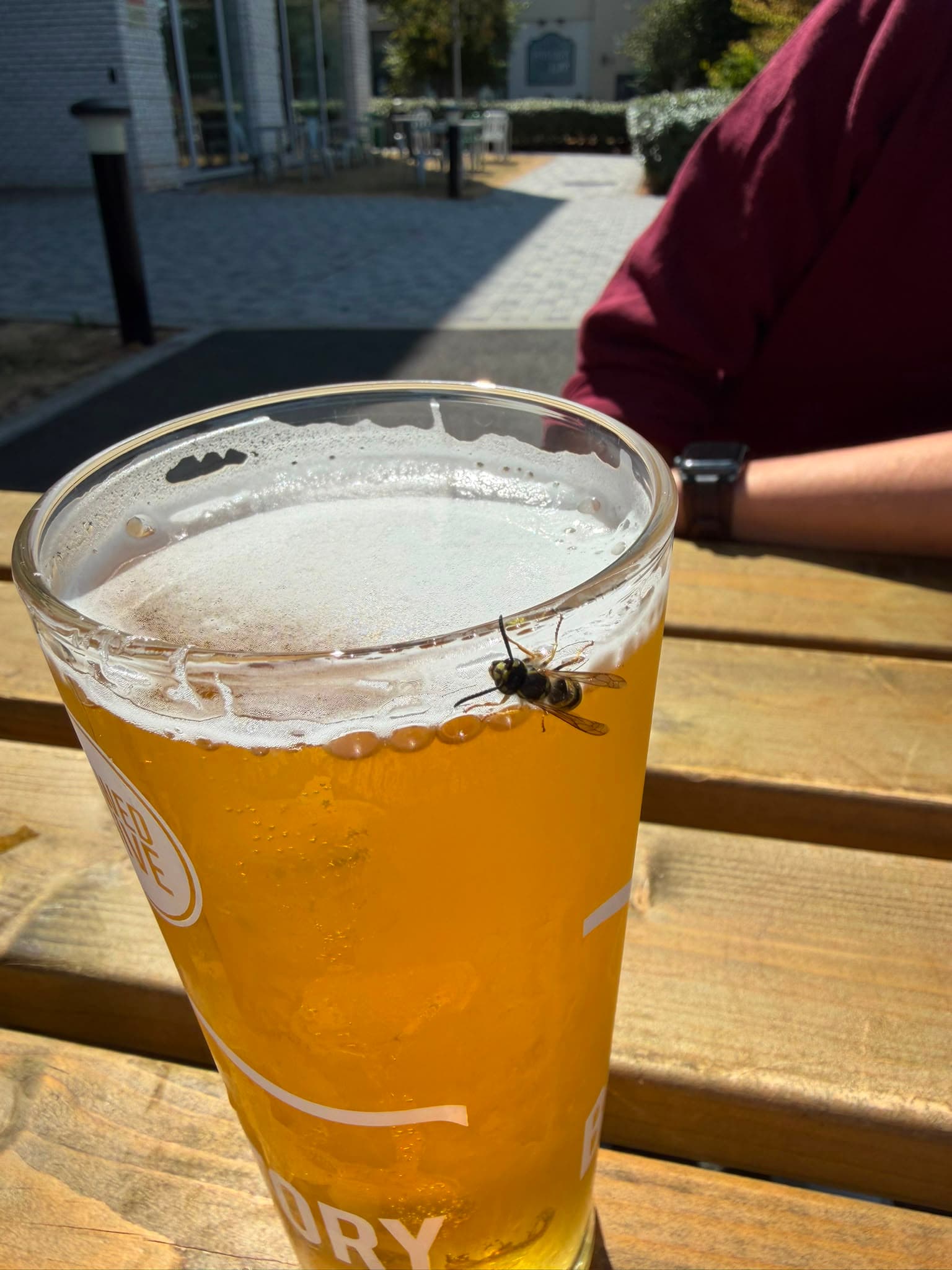 Beer #43047