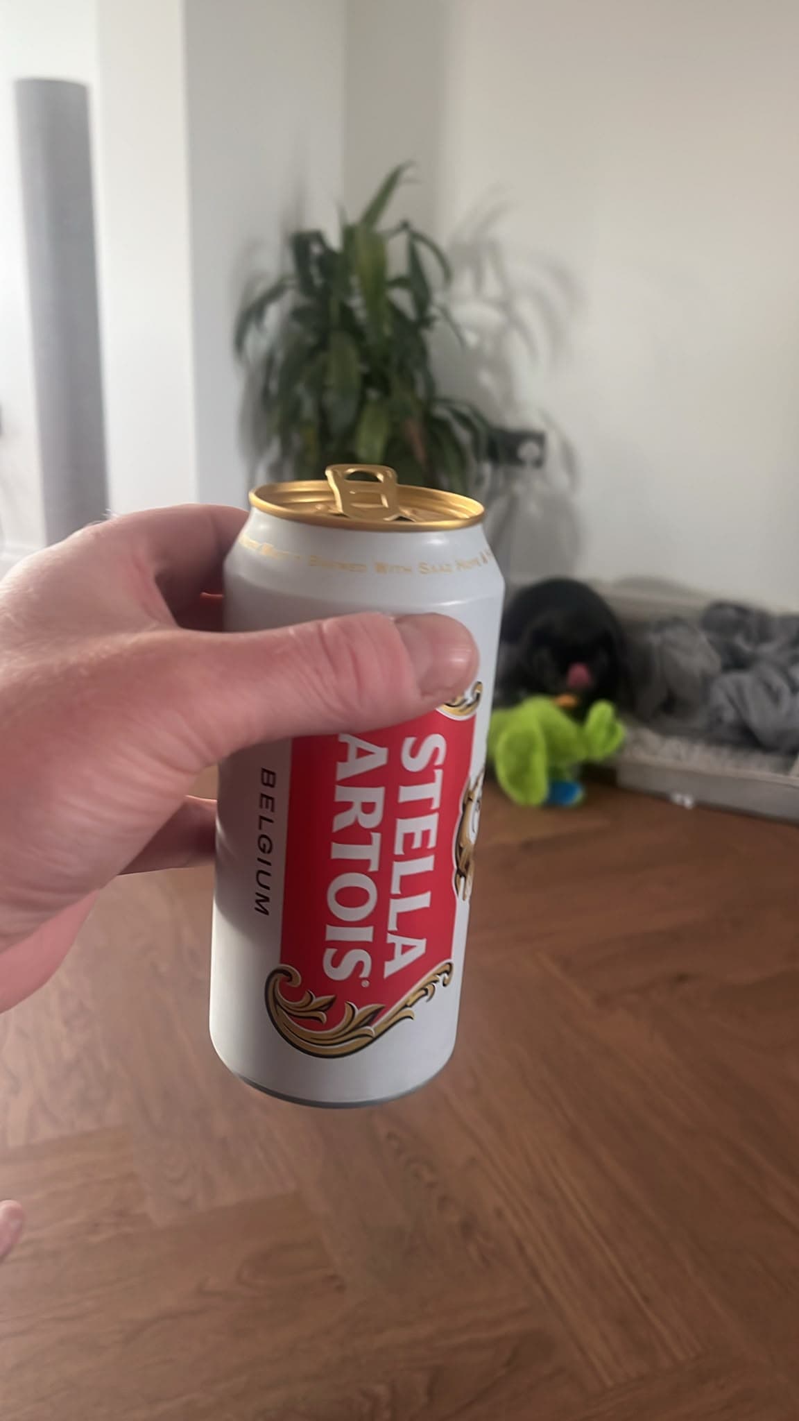 Beer #43306