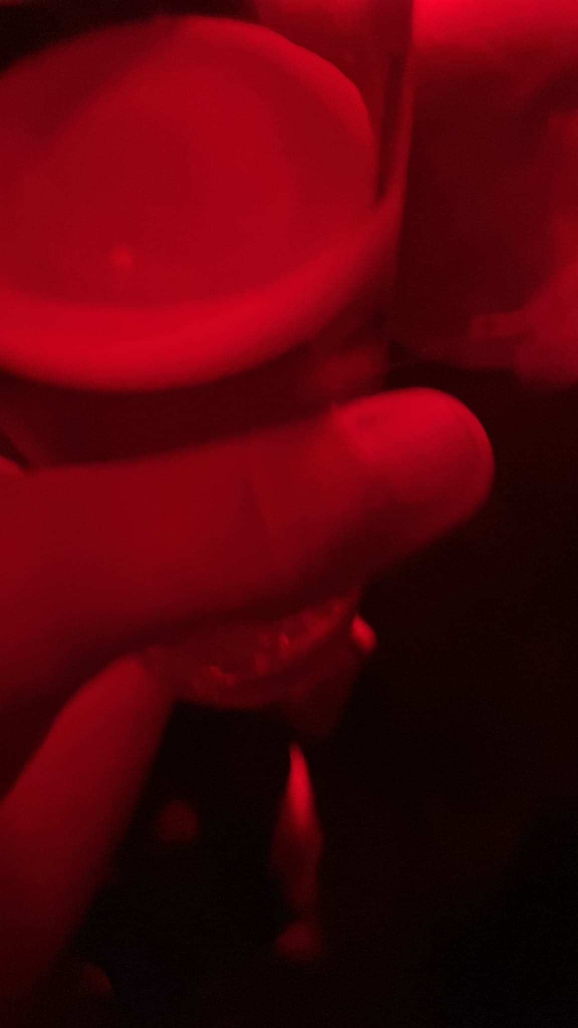 Beer #43538