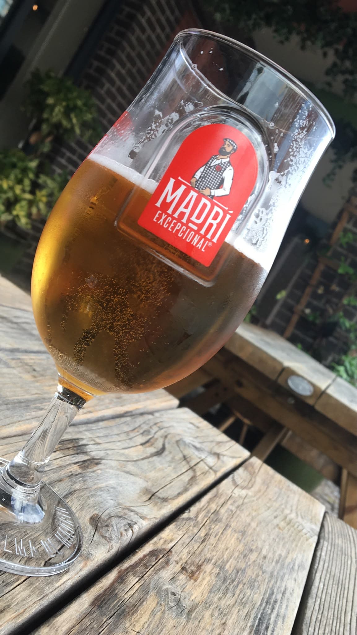 Beer #43622