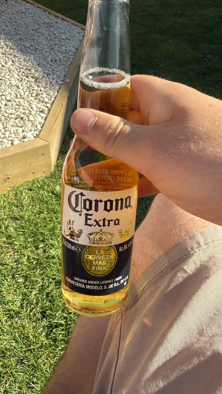 Beer #44203