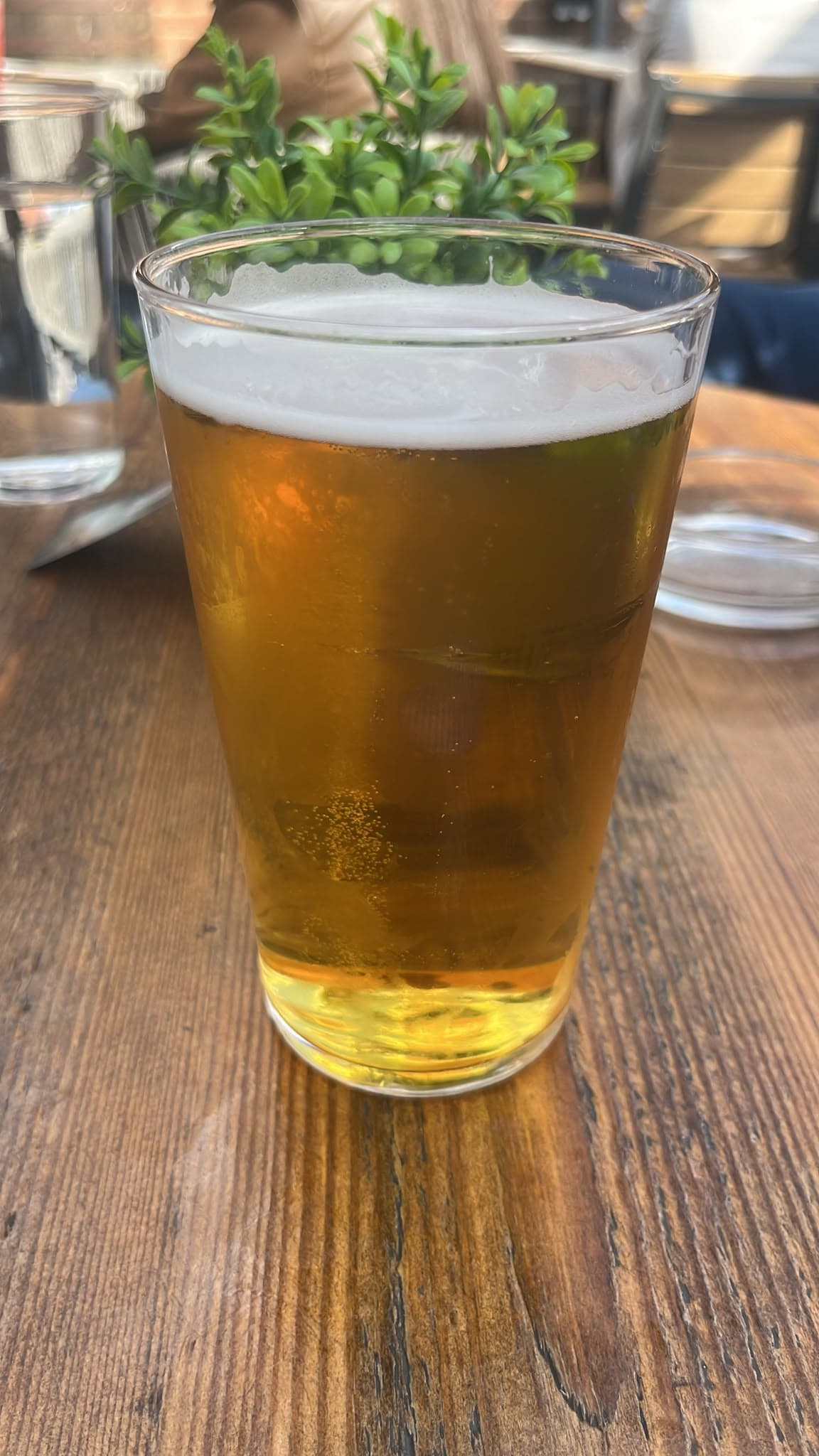 Beer #44230