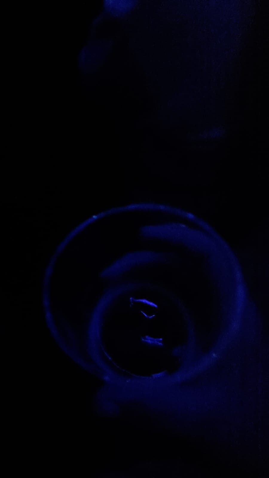 Beer #44542