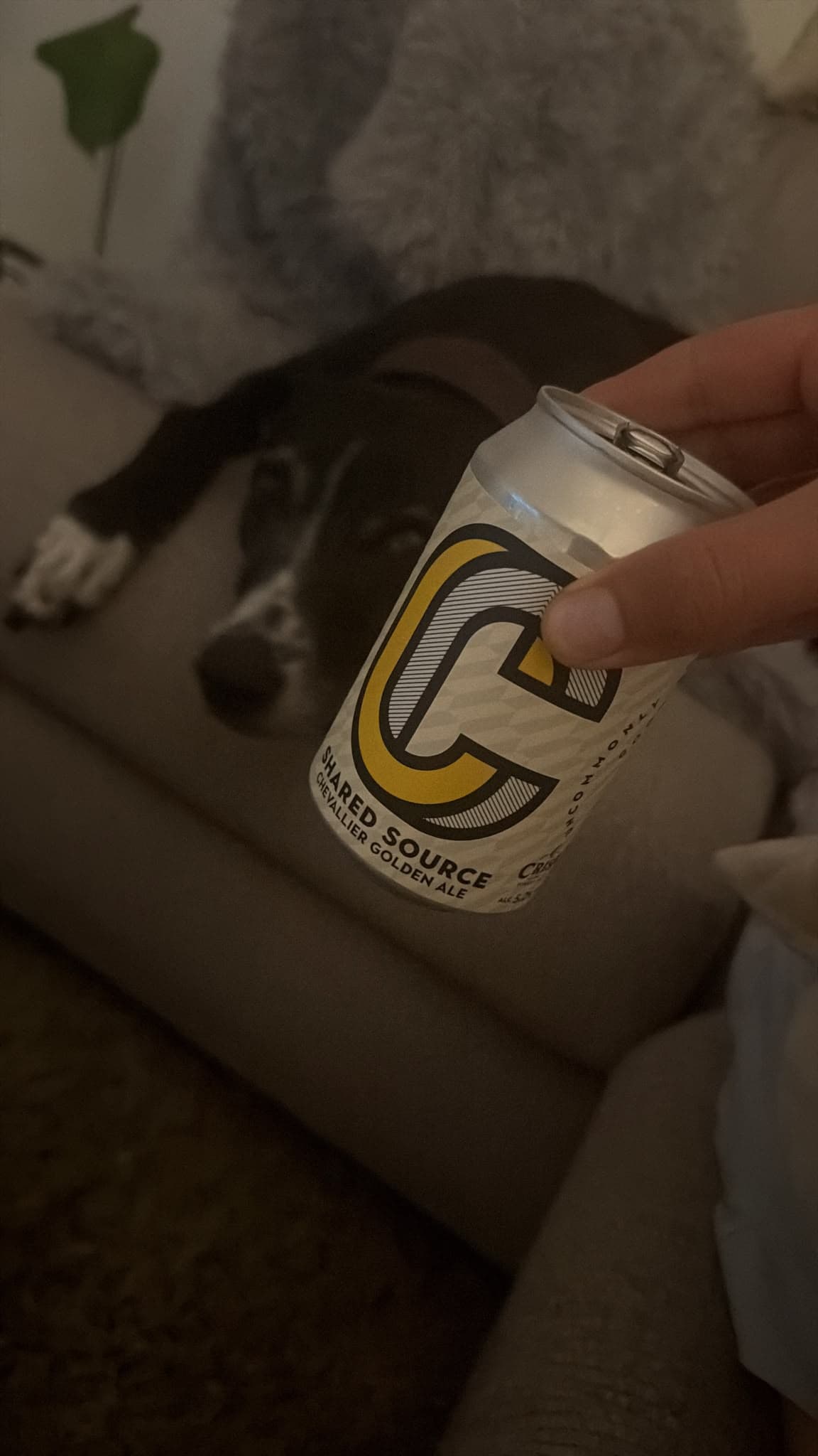 Beer #44610