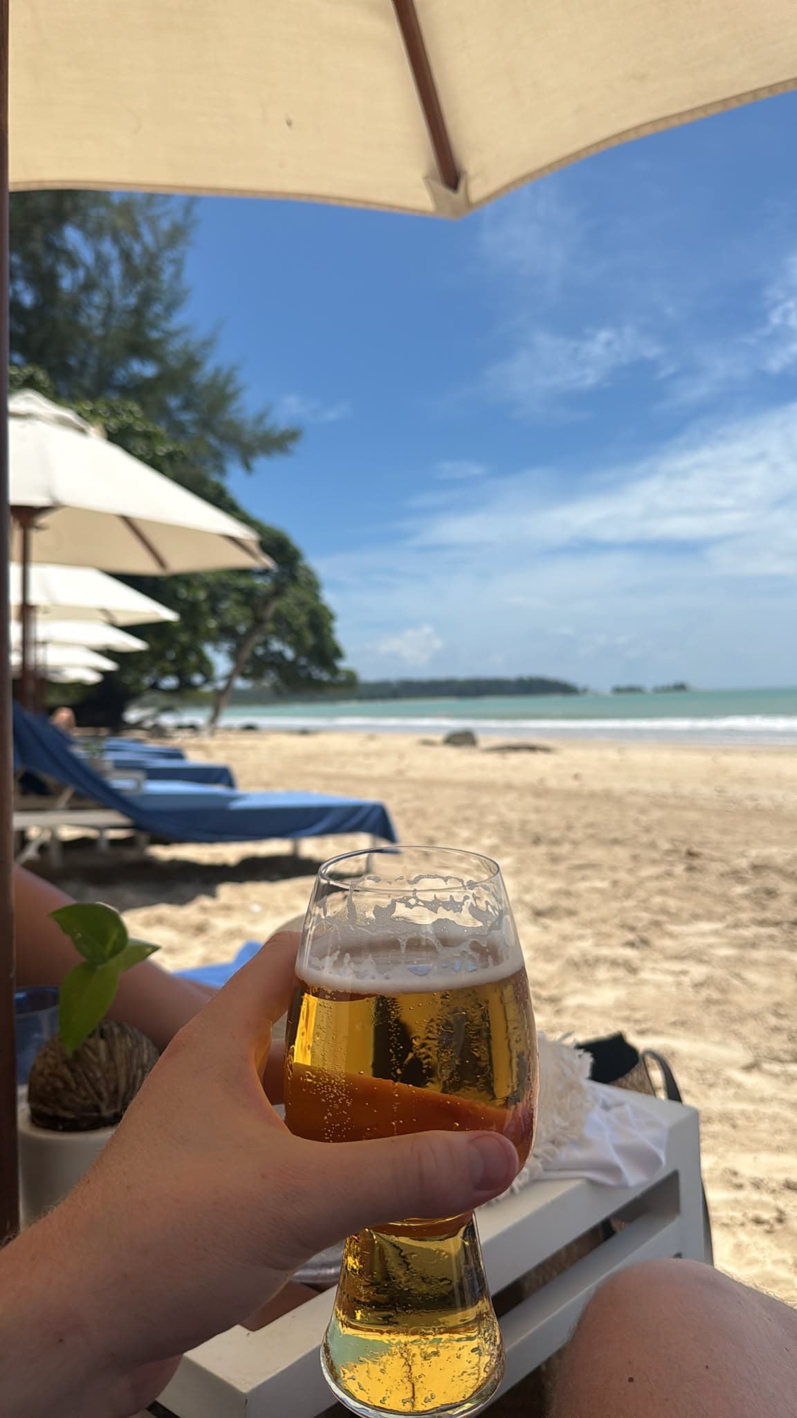 Beer #44719