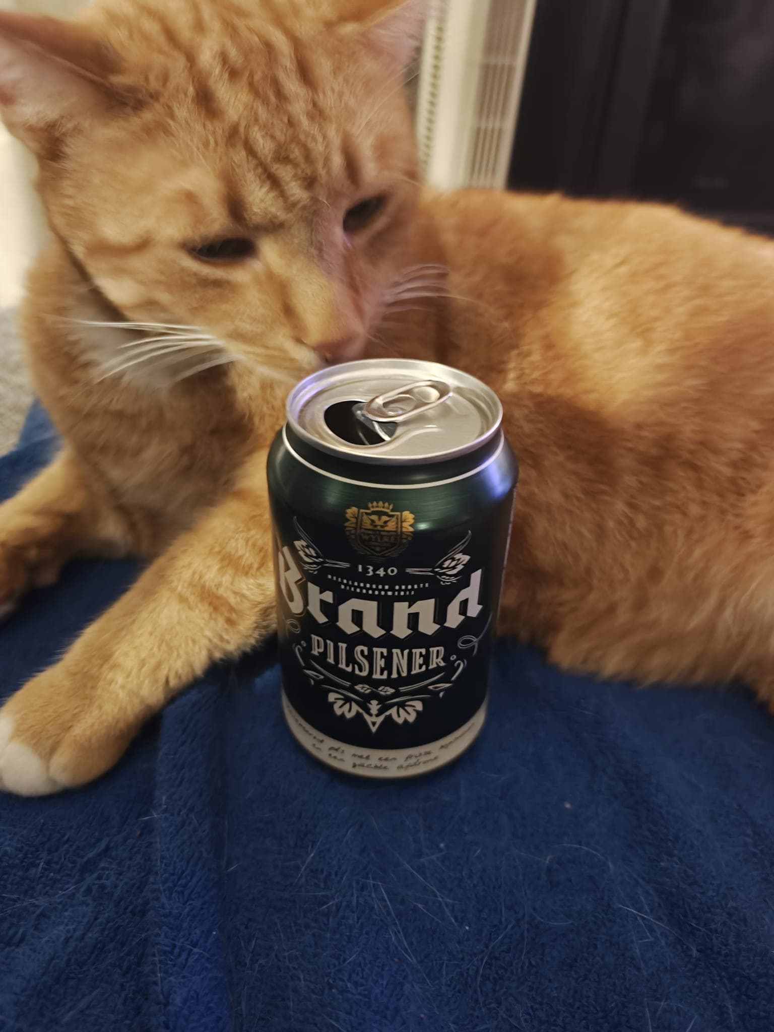 Beer #45049
