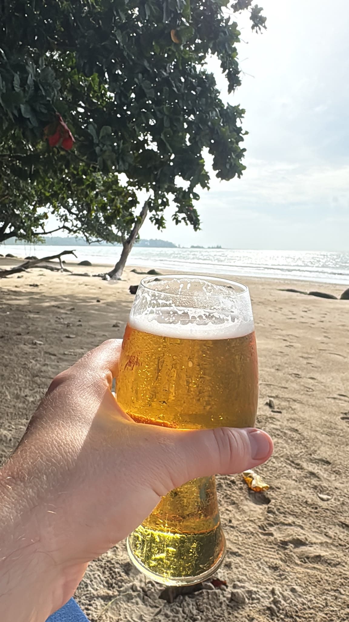 Beer #45312
